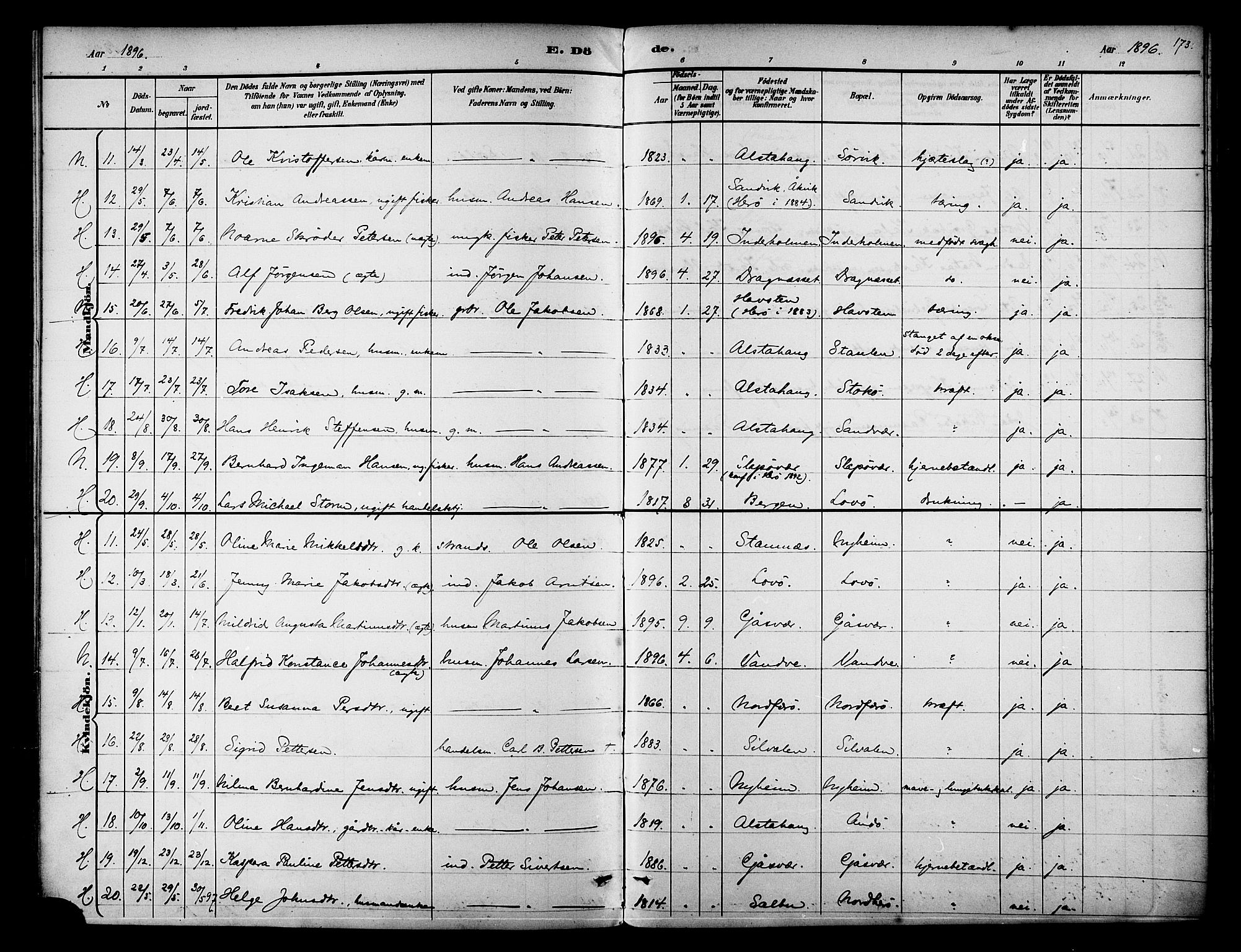 Ministerialprotokoller, klokkerbøker og fødselsregistre - Nordland, AV/SAT-A-1459/834/L0508: Parish register (official) no. 834A06, 1892-1901, p. 173