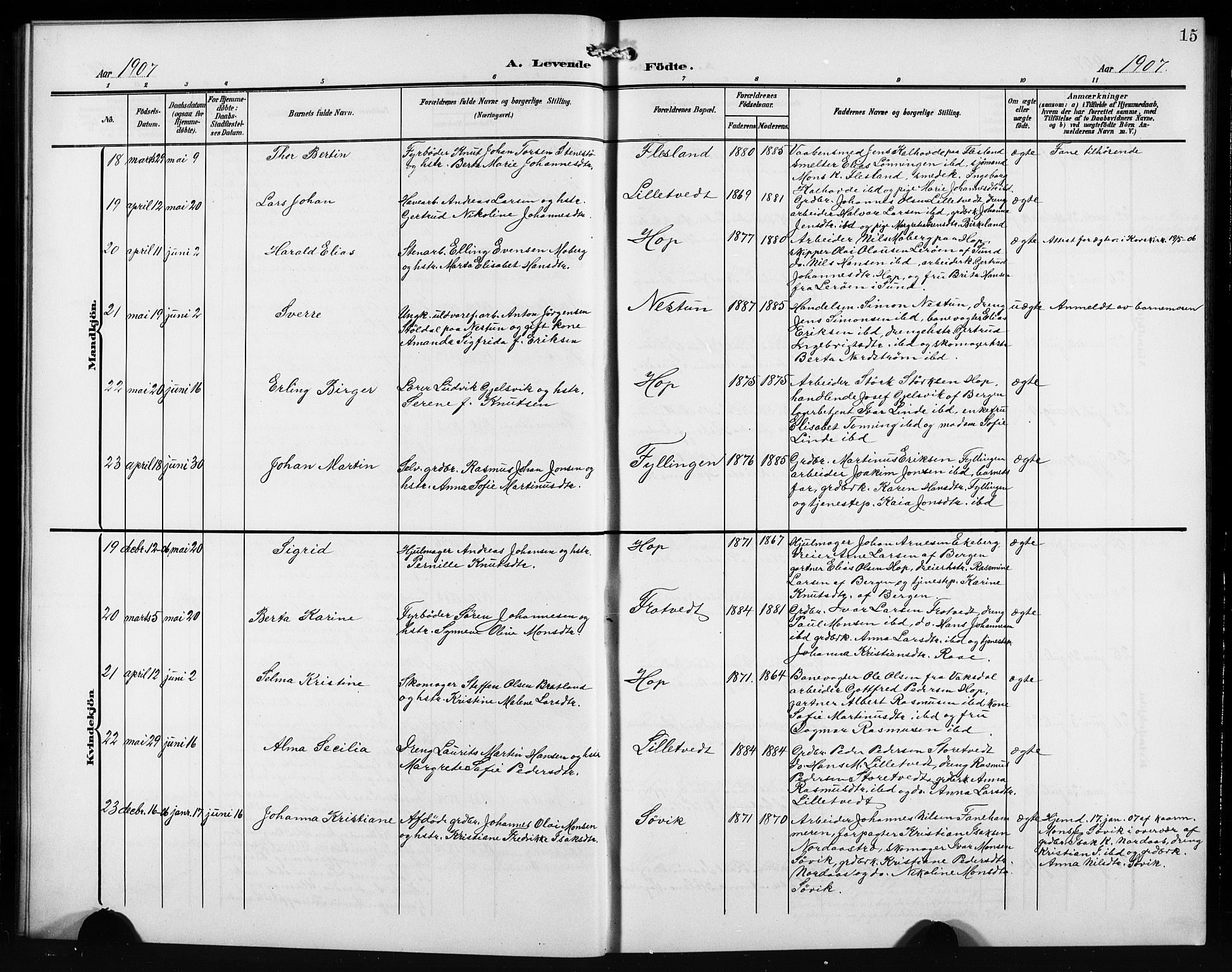 Birkeland Sokneprestembete, AV/SAB-A-74601/H/Hab: Parish register (copy) no. A 6, 1906-1915, p. 15