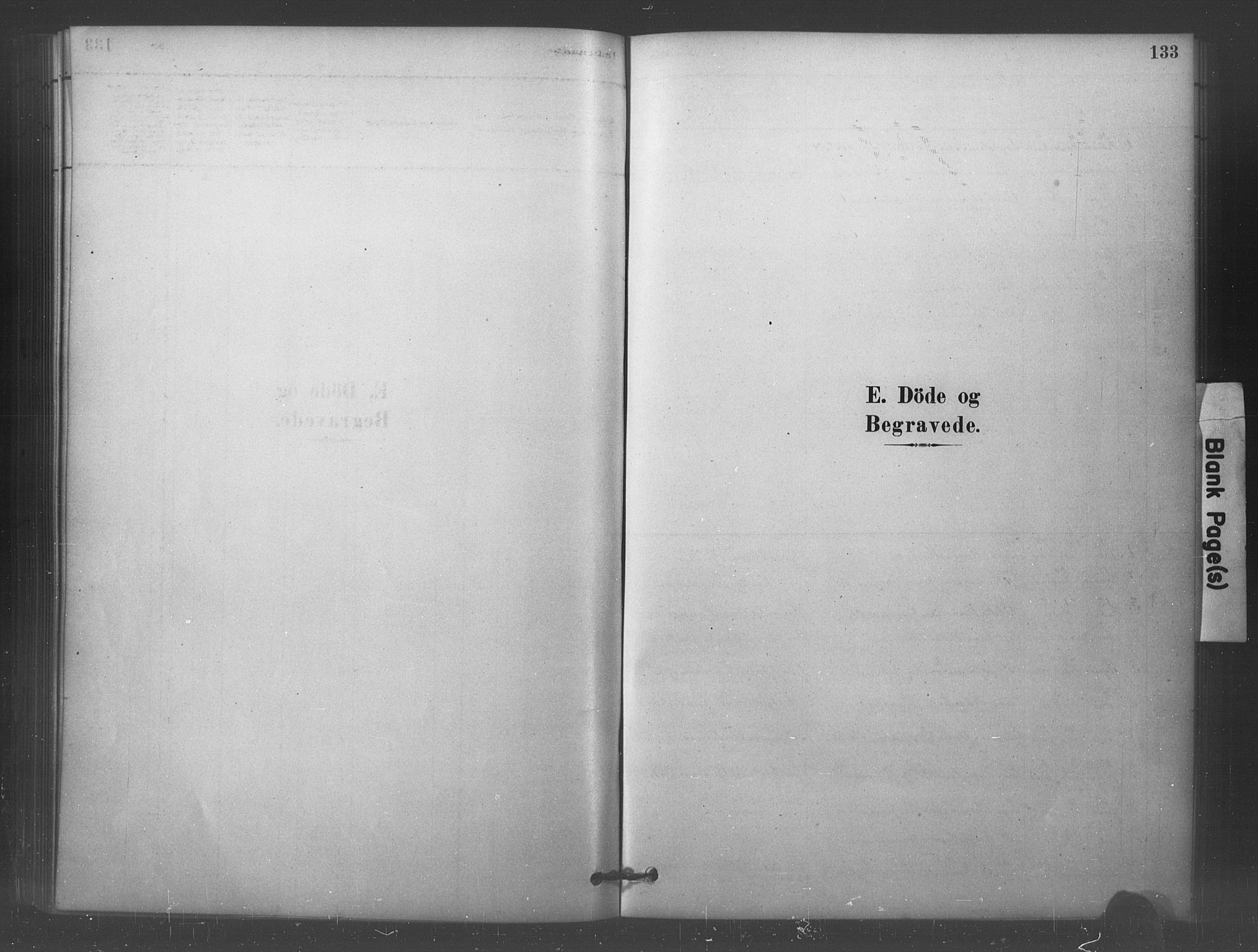 Eidsberg prestekontor Kirkebøker, SAO/A-10905/F/Fc/L0001: Parish register (official) no. III 1, 1879-1905, p. 133