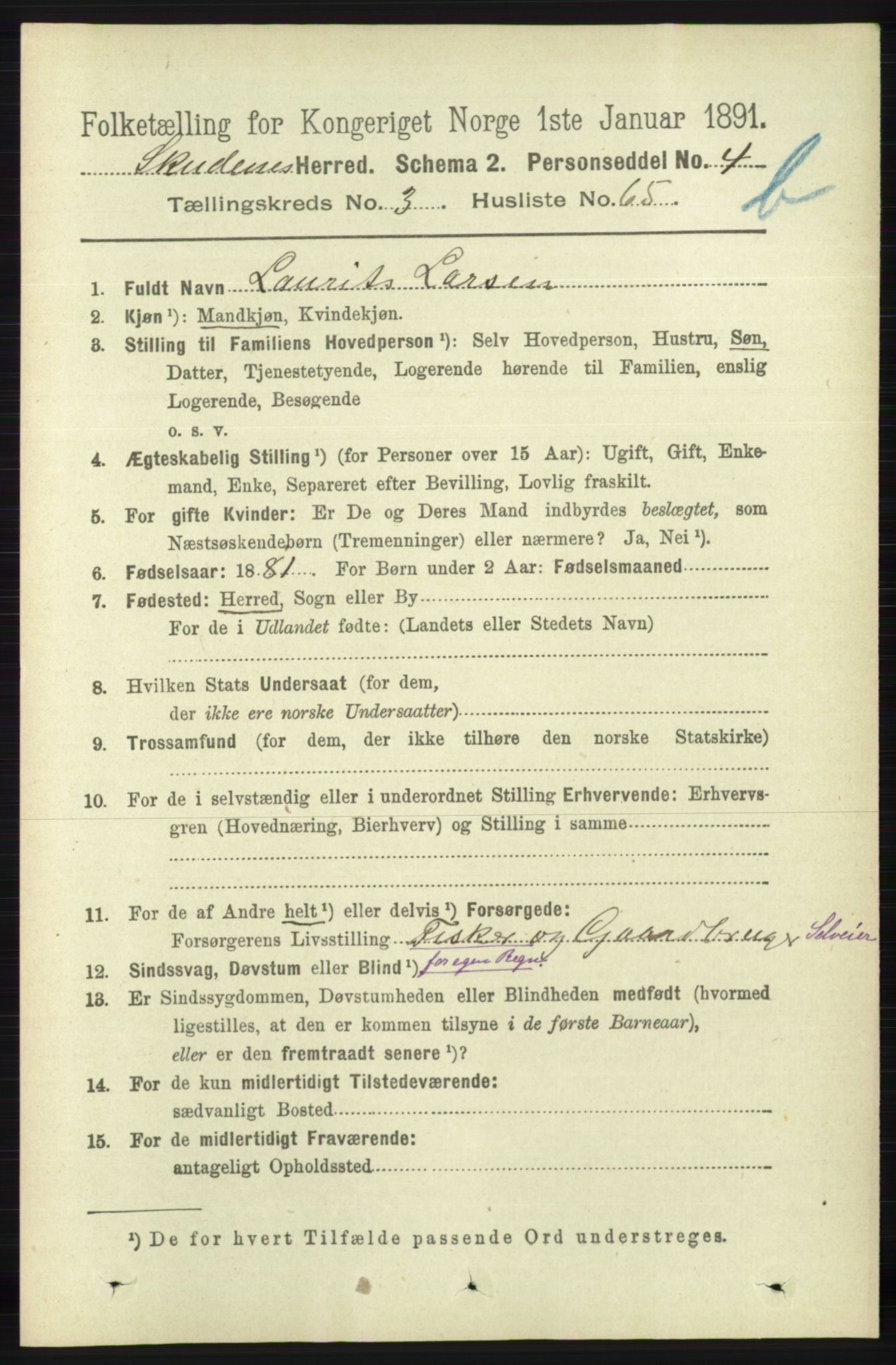RA, 1891 census for 1150 Skudenes, 1891, p. 4341