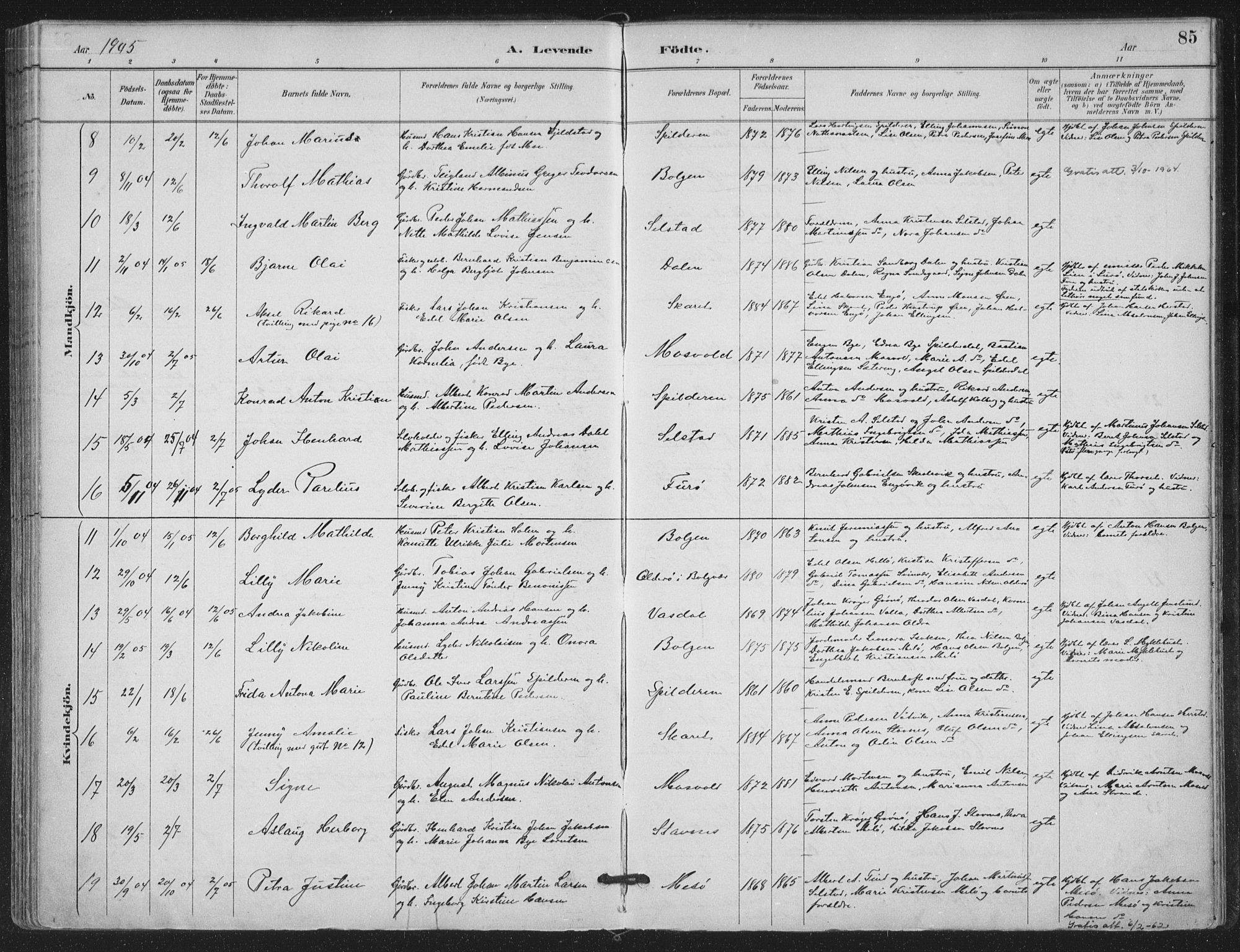 Ministerialprotokoller, klokkerbøker og fødselsregistre - Nordland, AV/SAT-A-1459/843/L0628: Parish register (official) no. 843A03, 1889-1907, p. 85