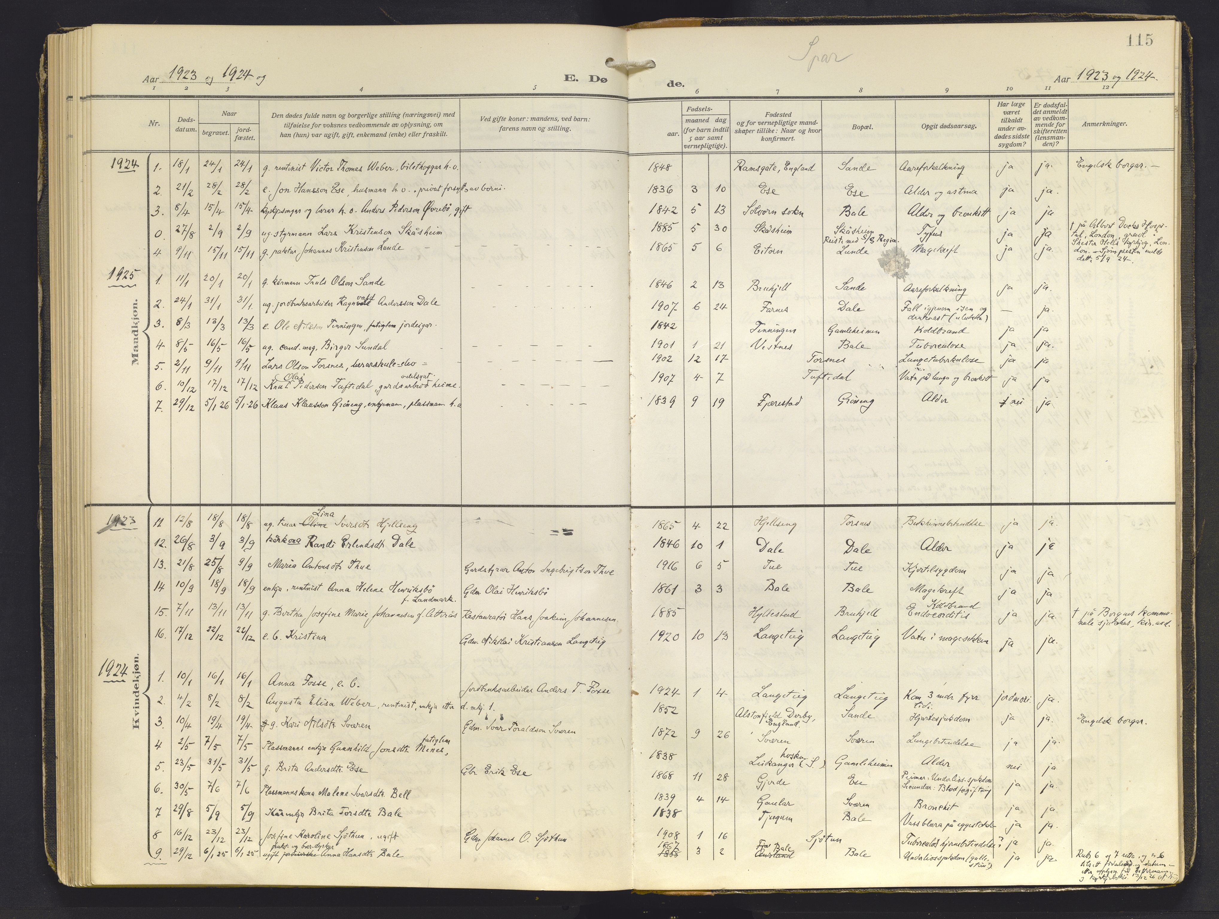 Balestrand sokneprestembete, AV/SAB-A-79601/H/Haa/Haab/L0002: Parish register (official) no. B 2, 1911-1932, p. 115