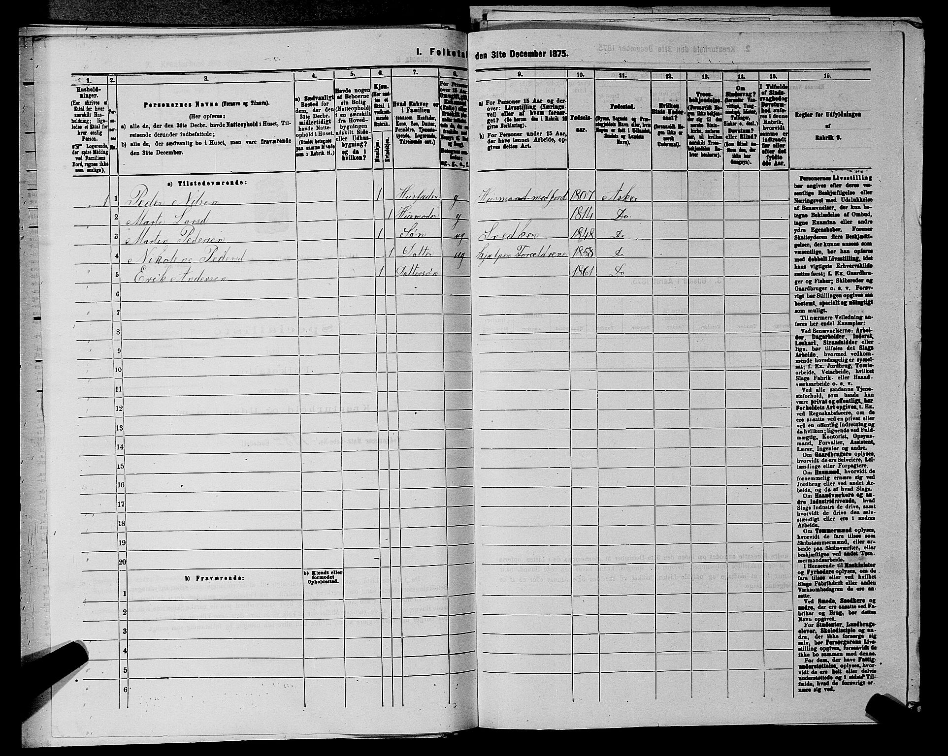 RA, 1875 census for 0220P Asker, 1875, p. 1141