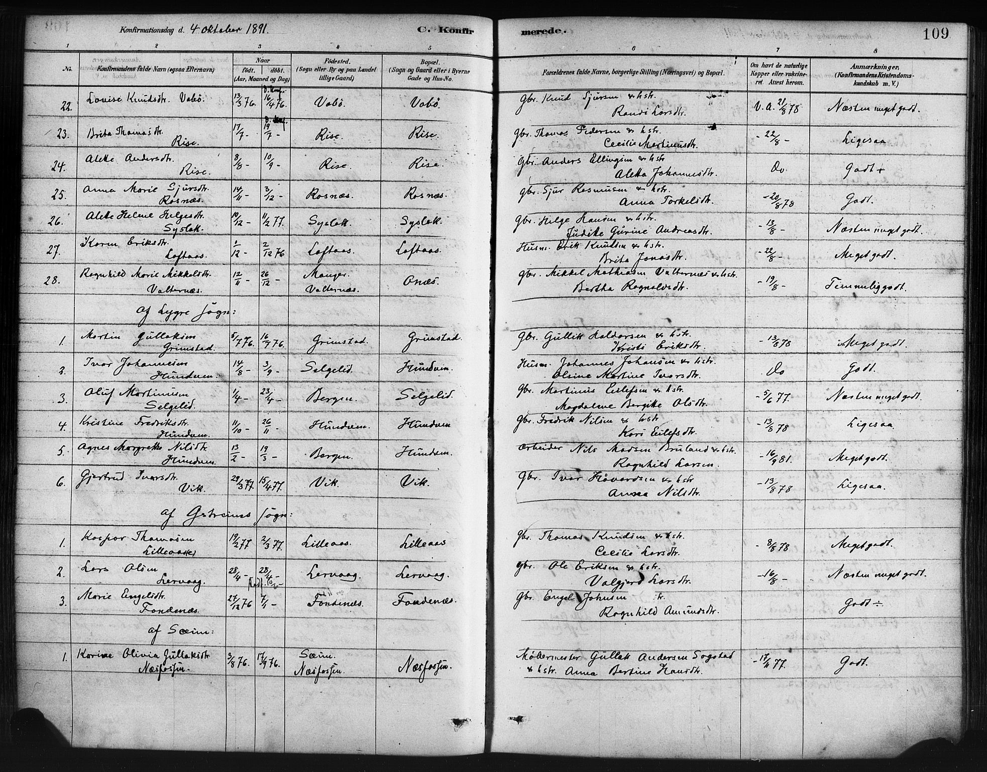 Lindås Sokneprestembete, AV/SAB-A-76701/H/Haa/Haaa/L0019: Parish register (official) no. A 19, 1878-1912, p. 109
