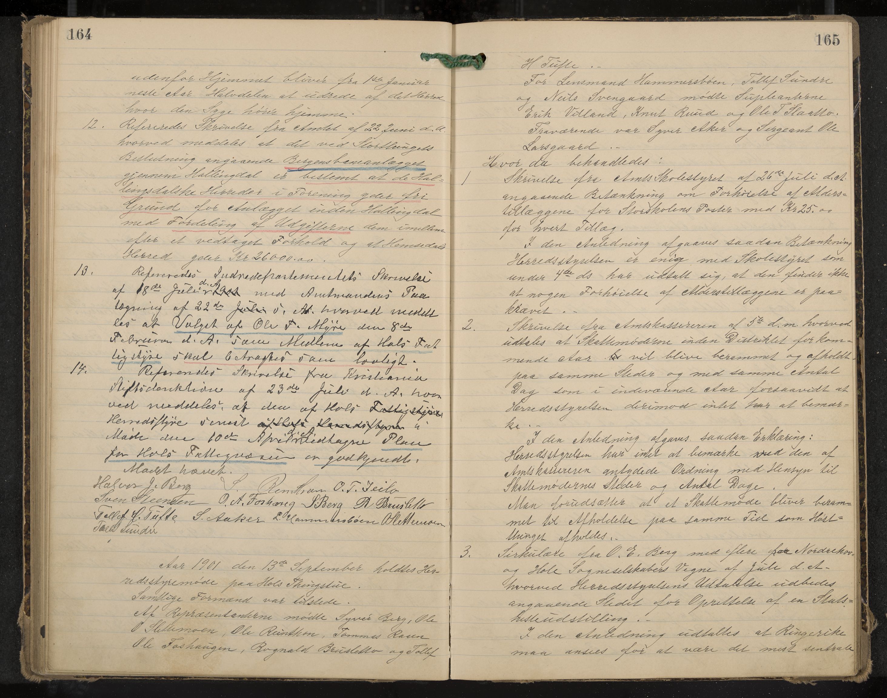 Hol formannskap og sentraladministrasjon, IKAK/0620021-1/A/L0003: Møtebok, 1897-1904, p. 164-165