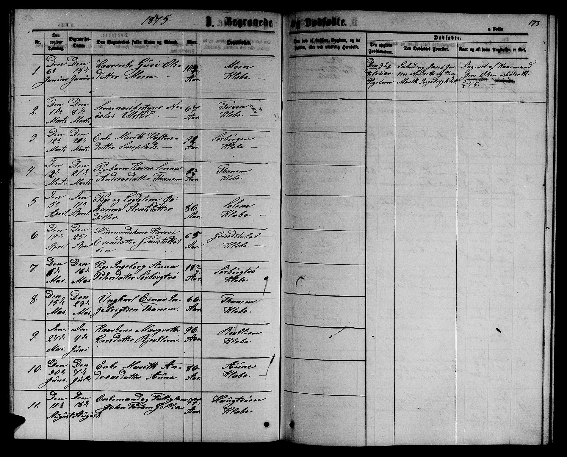 Ministerialprotokoller, klokkerbøker og fødselsregistre - Sør-Trøndelag, SAT/A-1456/618/L0451: Parish register (copy) no. 618C02, 1865-1883, p. 173