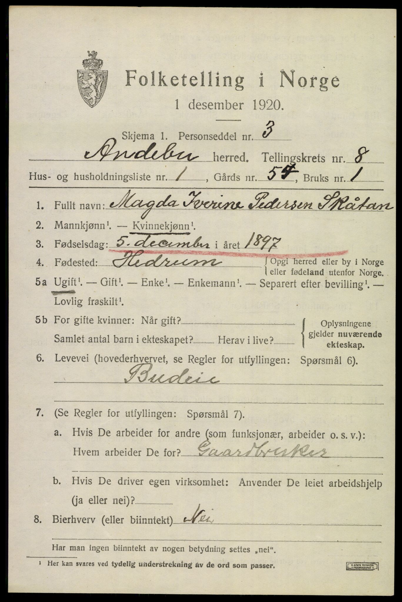 SAKO, 1920 census for Andebu, 1920, p. 3494