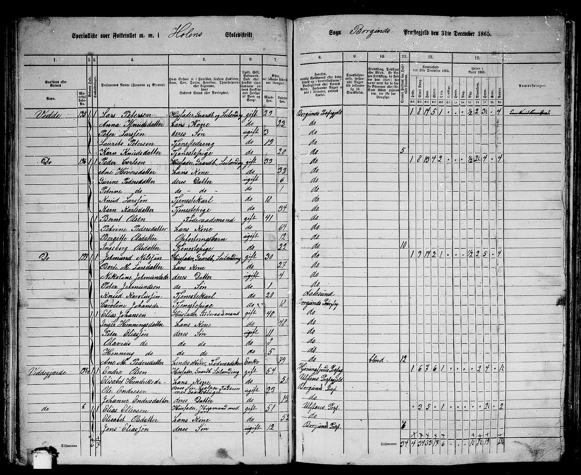 RA, 1865 census for Borgund, 1865, p. 104