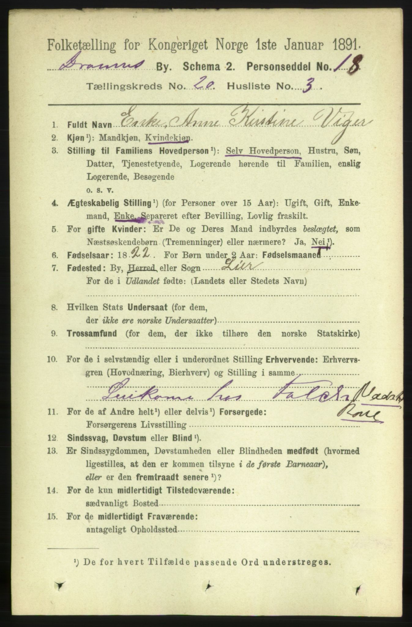 RA, 1891 census for 0602 Drammen, 1891, p. 12544