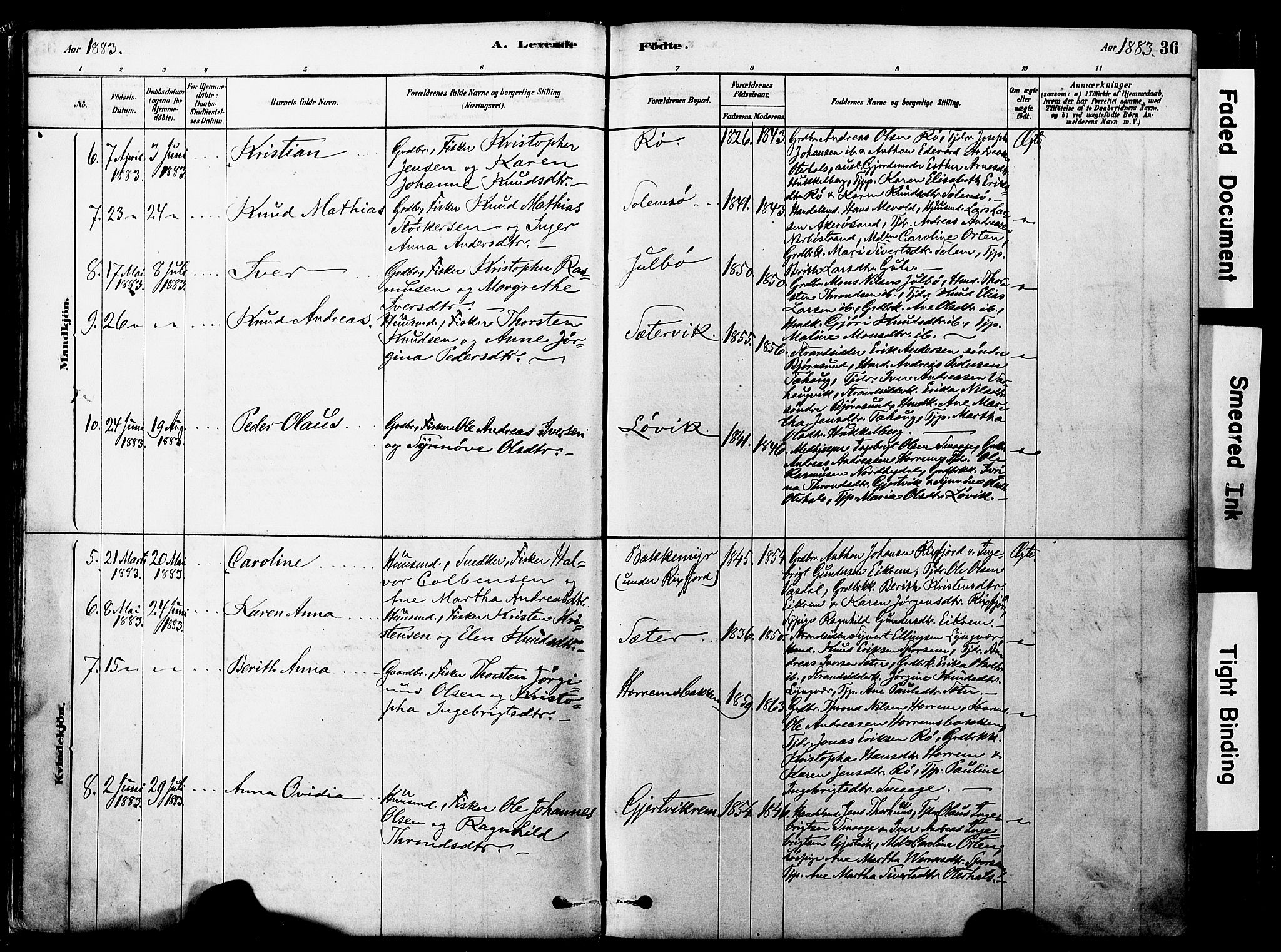 Ministerialprotokoller, klokkerbøker og fødselsregistre - Møre og Romsdal, SAT/A-1454/560/L0721: Parish register (official) no. 560A05, 1878-1917, p. 36
