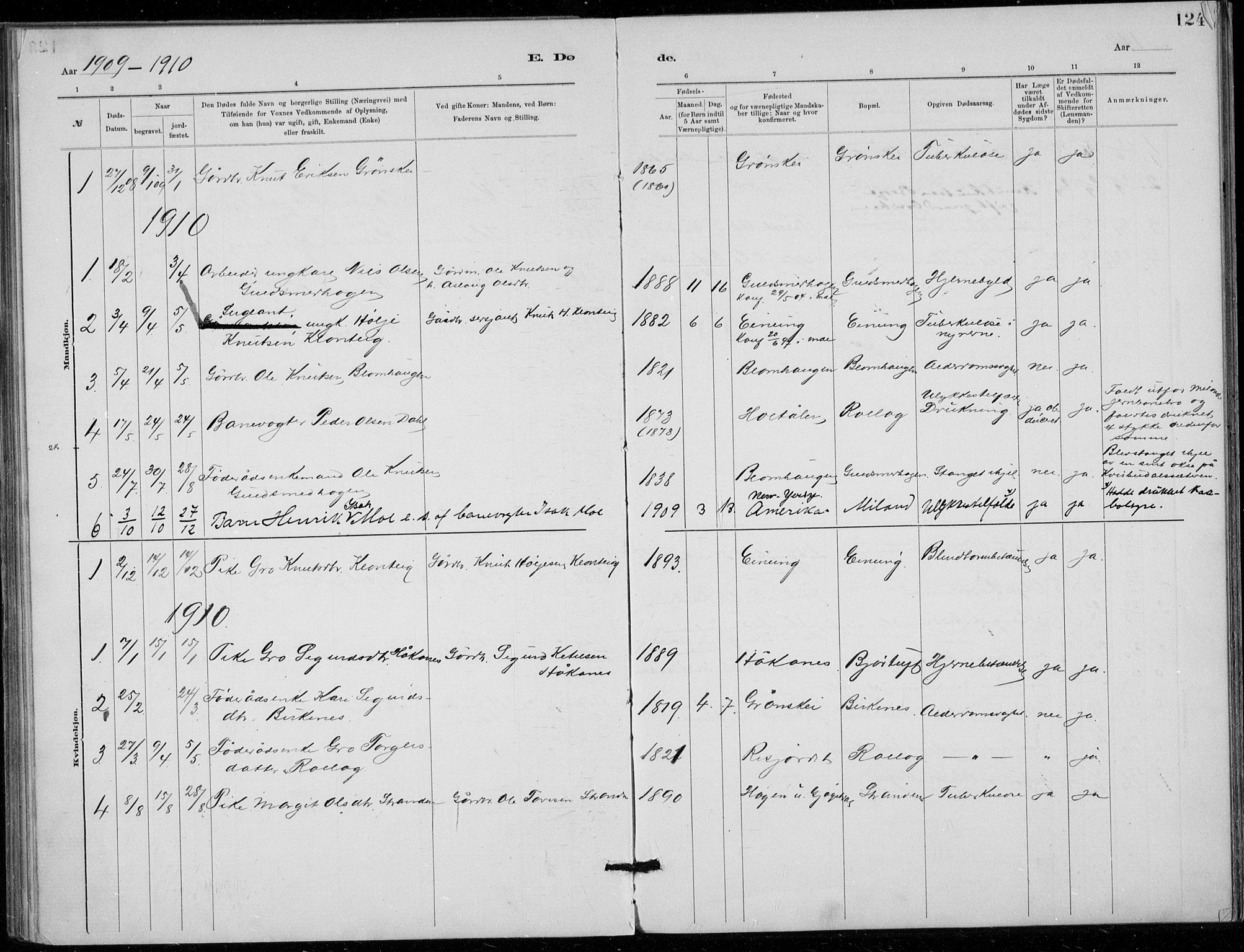 Tinn kirkebøker, SAKO/A-308/F/Fb/L0002: Parish register (official) no. II 2, 1878-1917, p. 124