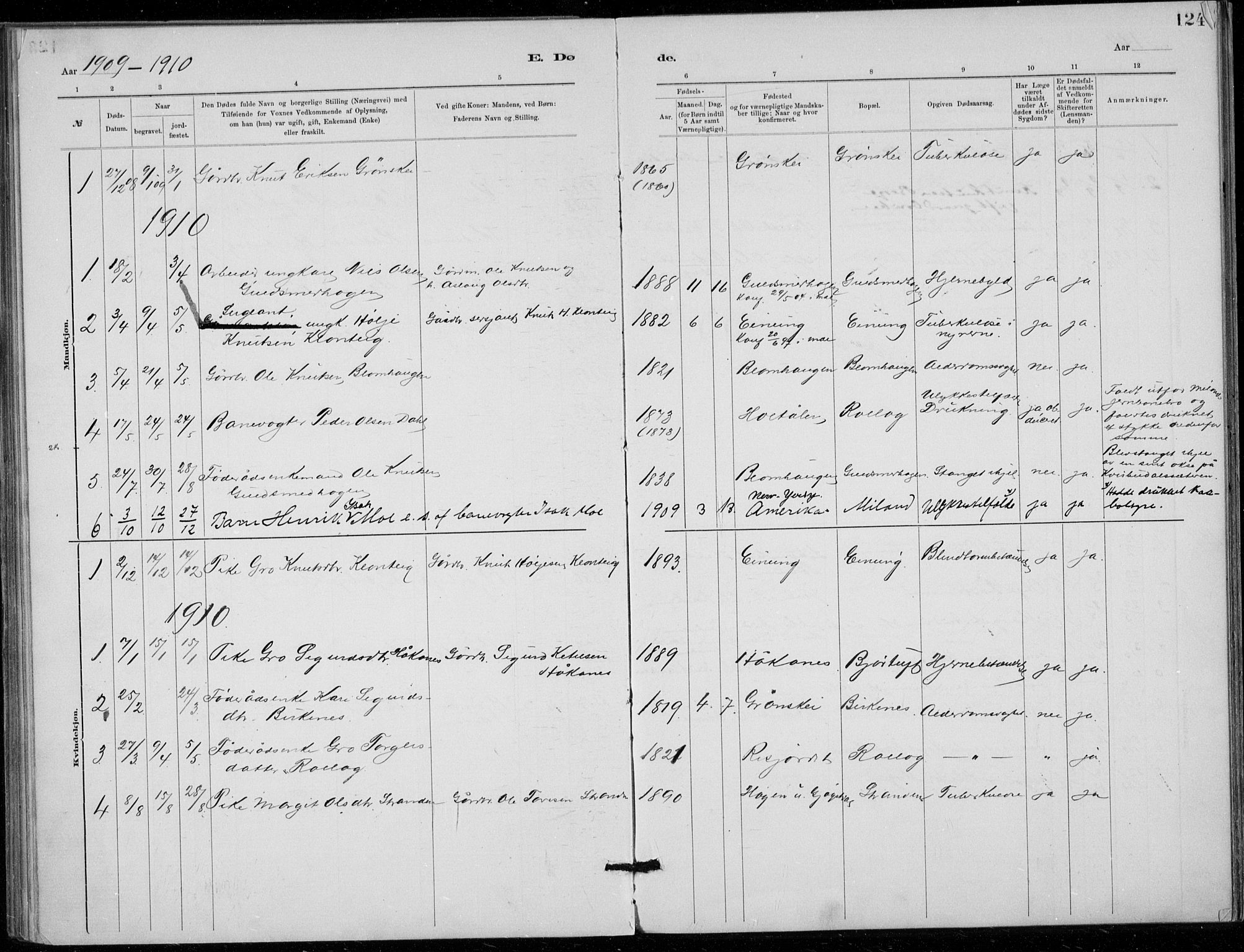 Tinn kirkebøker, AV/SAKO-A-308/F/Fb/L0002: Parish register (official) no. II 2, 1878-1917, p. 124