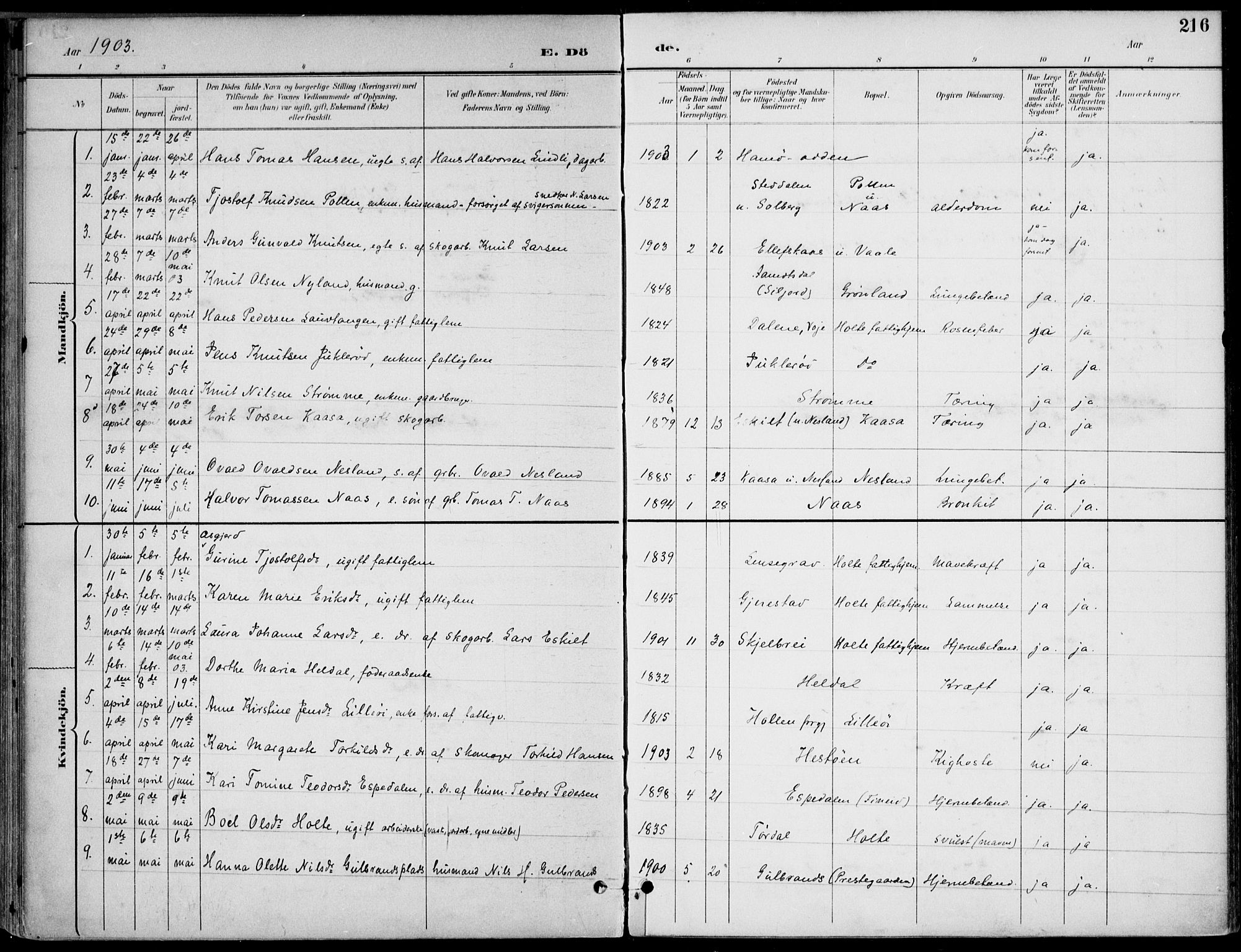 Drangedal kirkebøker, SAKO/A-258/F/Fa/L0012: Parish register (official) no. 12, 1895-1905, p. 216