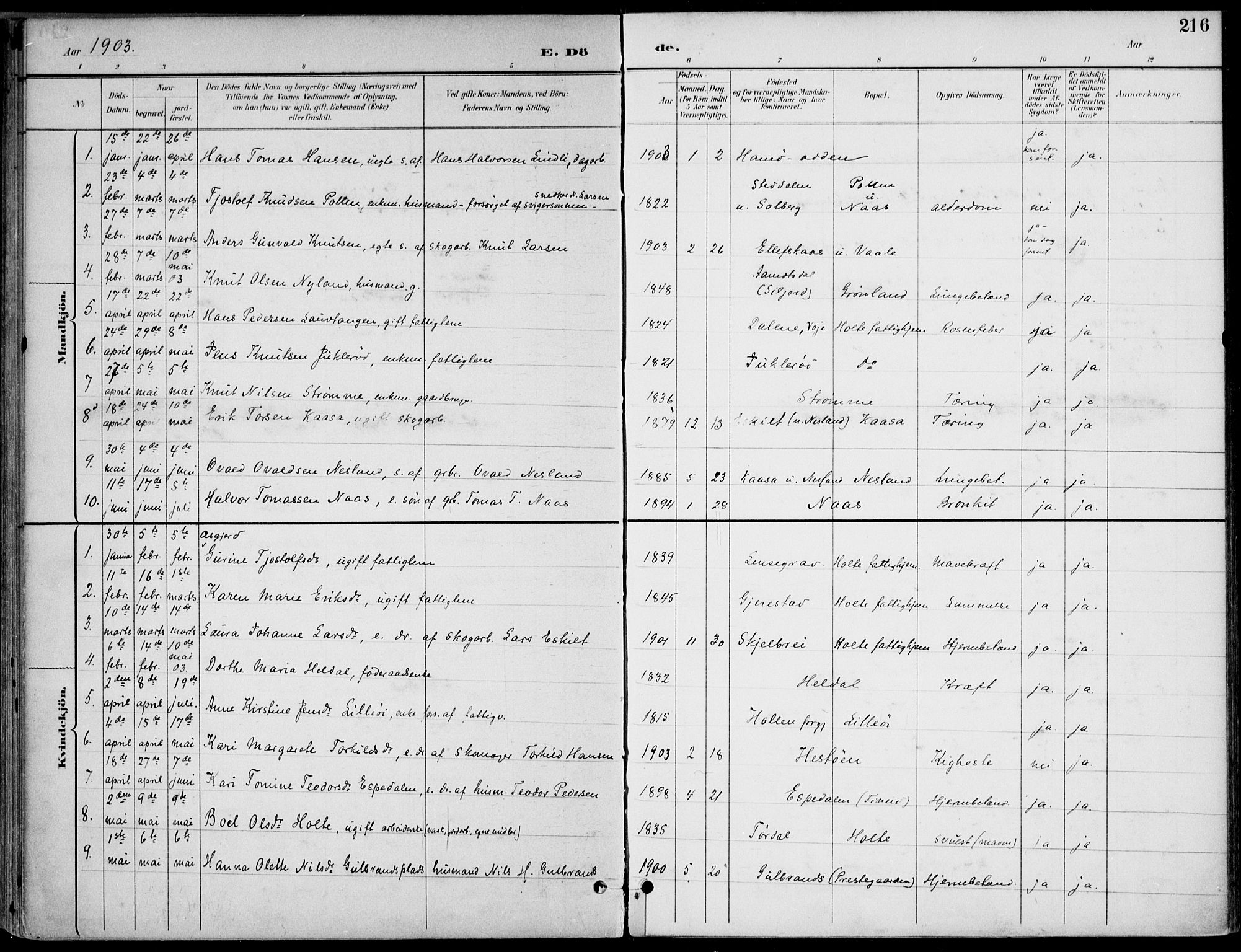 Drangedal kirkebøker, AV/SAKO-A-258/F/Fa/L0012: Parish register (official) no. 12, 1895-1905, p. 216