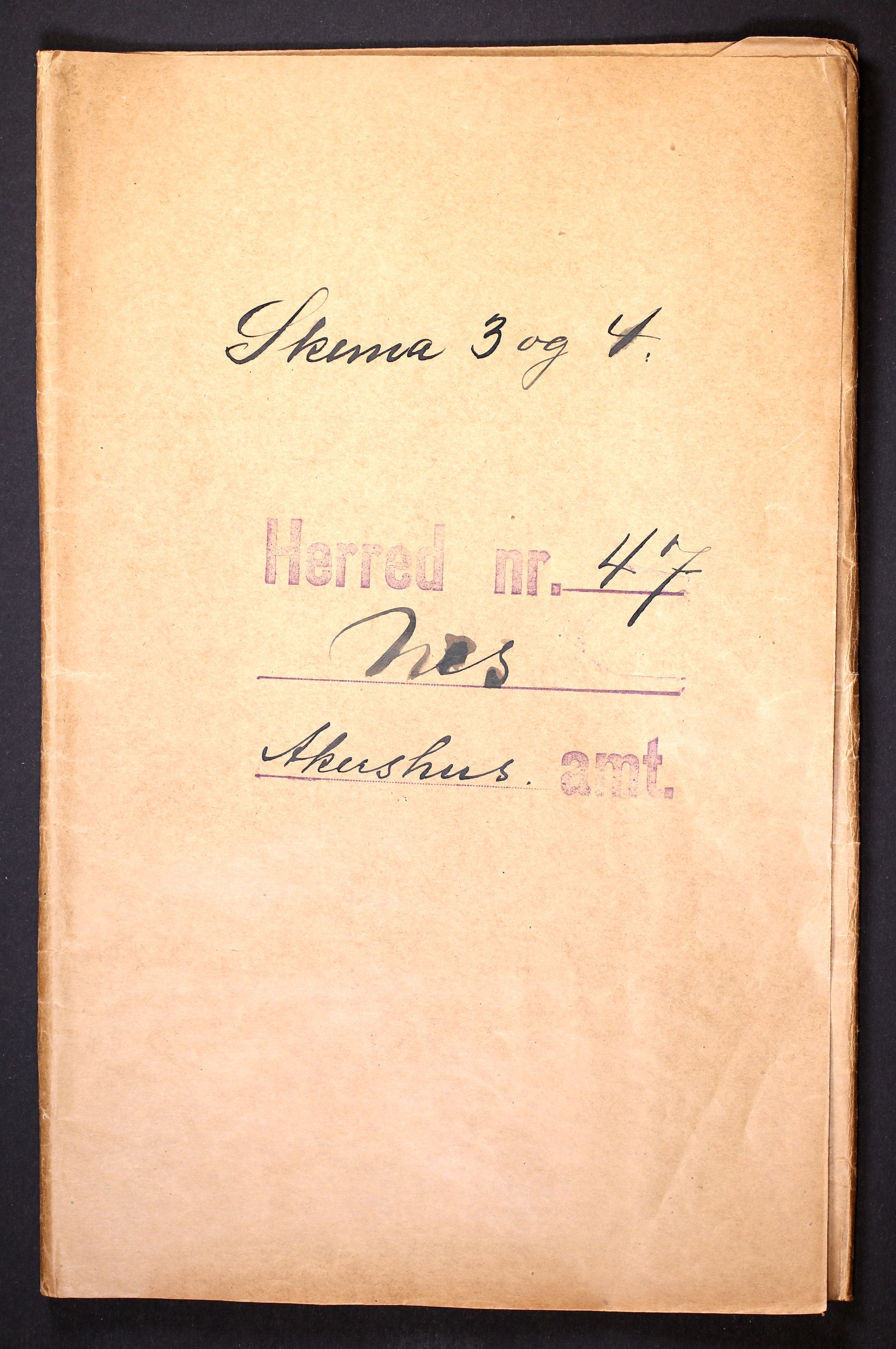 RA, 1910 census for Nes, 1910, p. 1