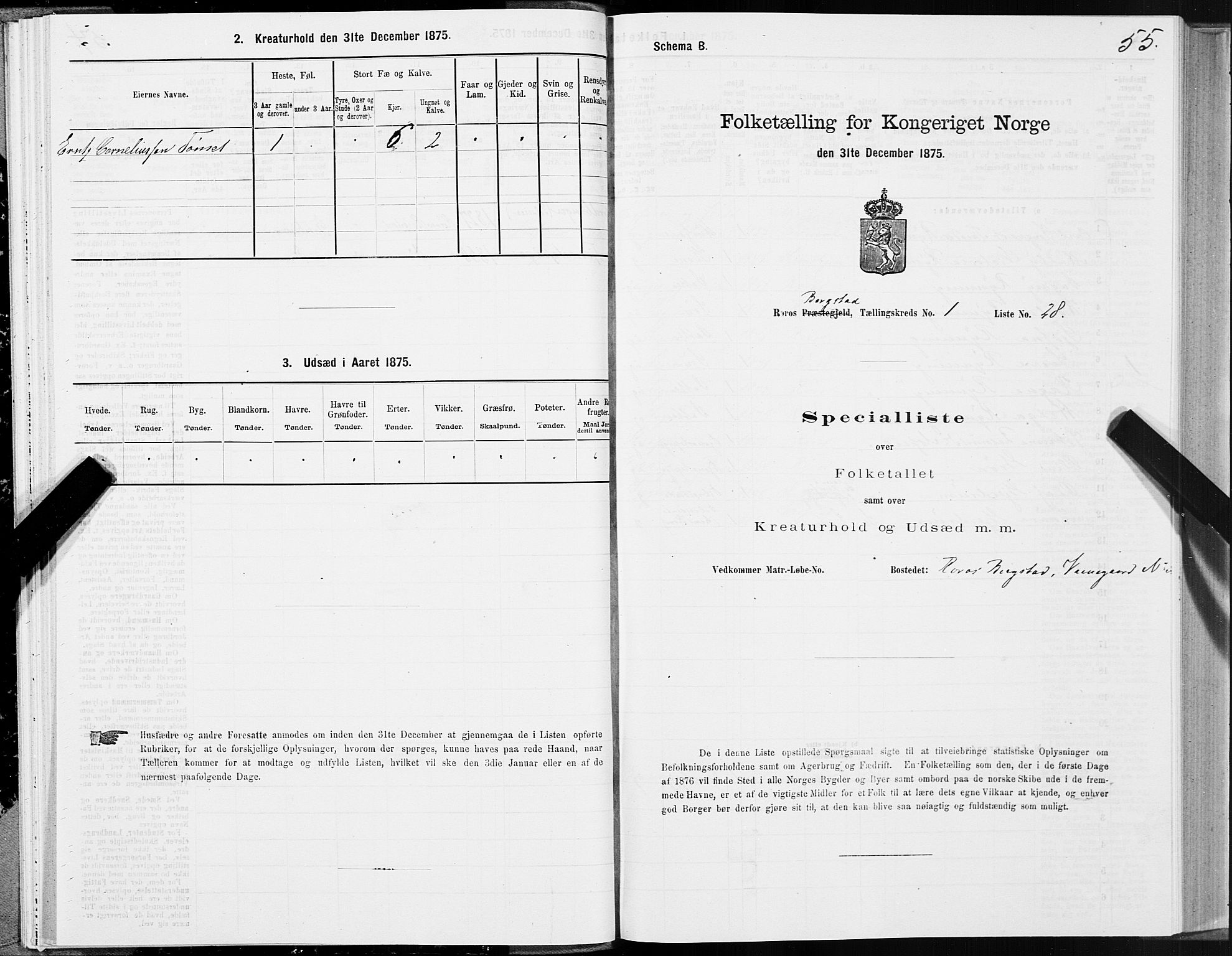 SAT, 1875 census for 1640P Røros, 1875, p. 1055