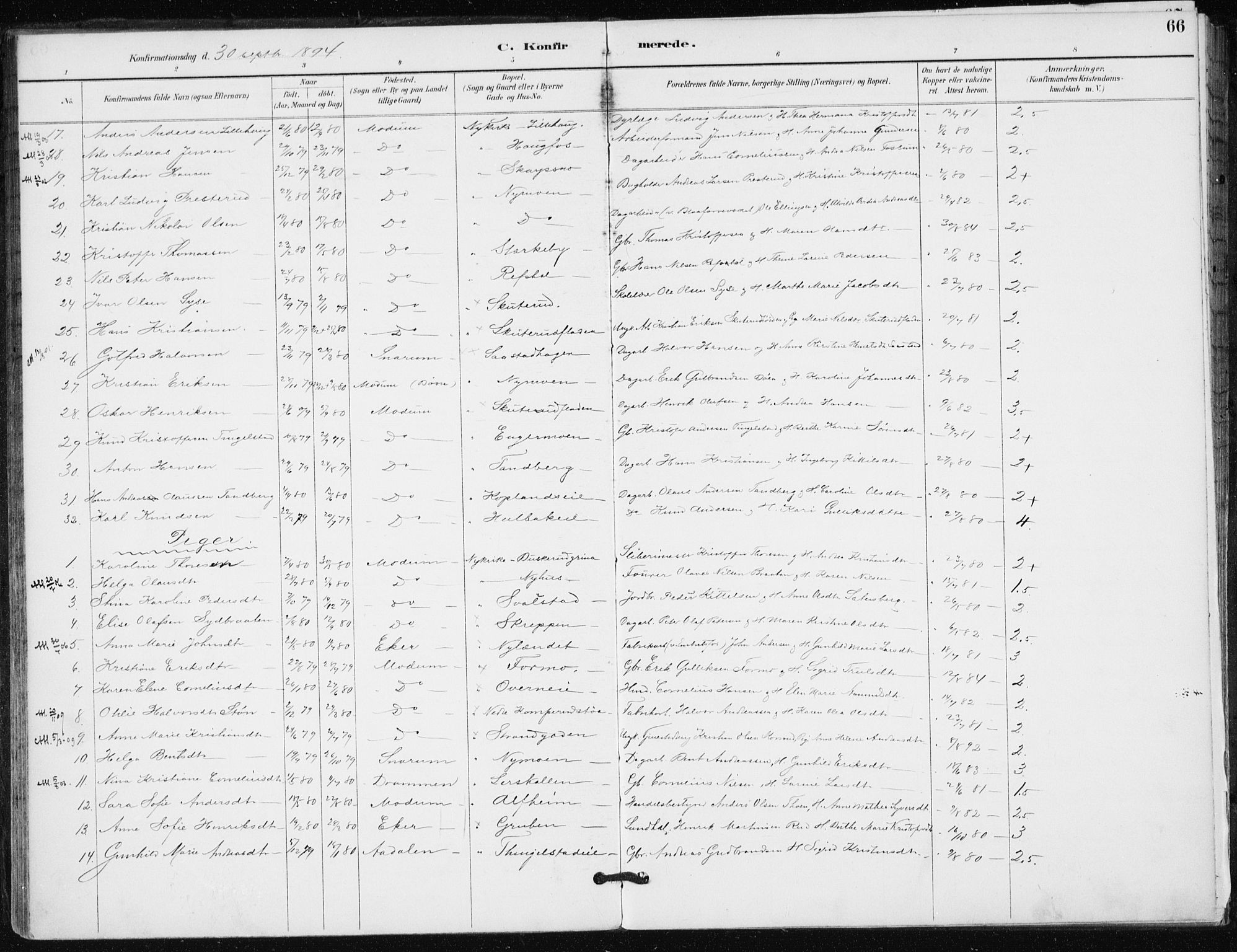 Modum kirkebøker, AV/SAKO-A-234/F/Fa/L0016: Parish register (official) no. 16, 1890-1899, p. 66