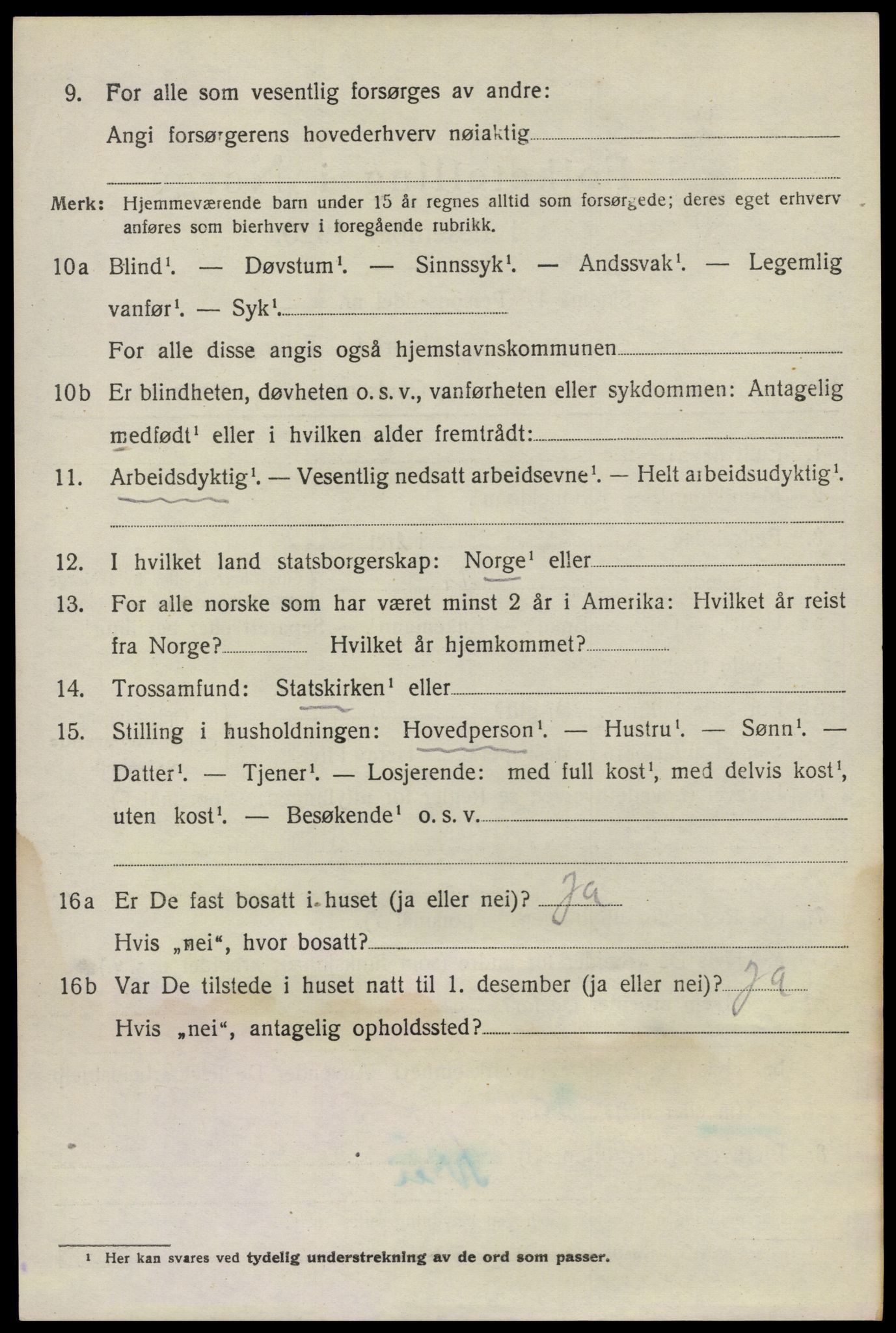 SAO, 1920 census for Nes, 1920, p. 21921