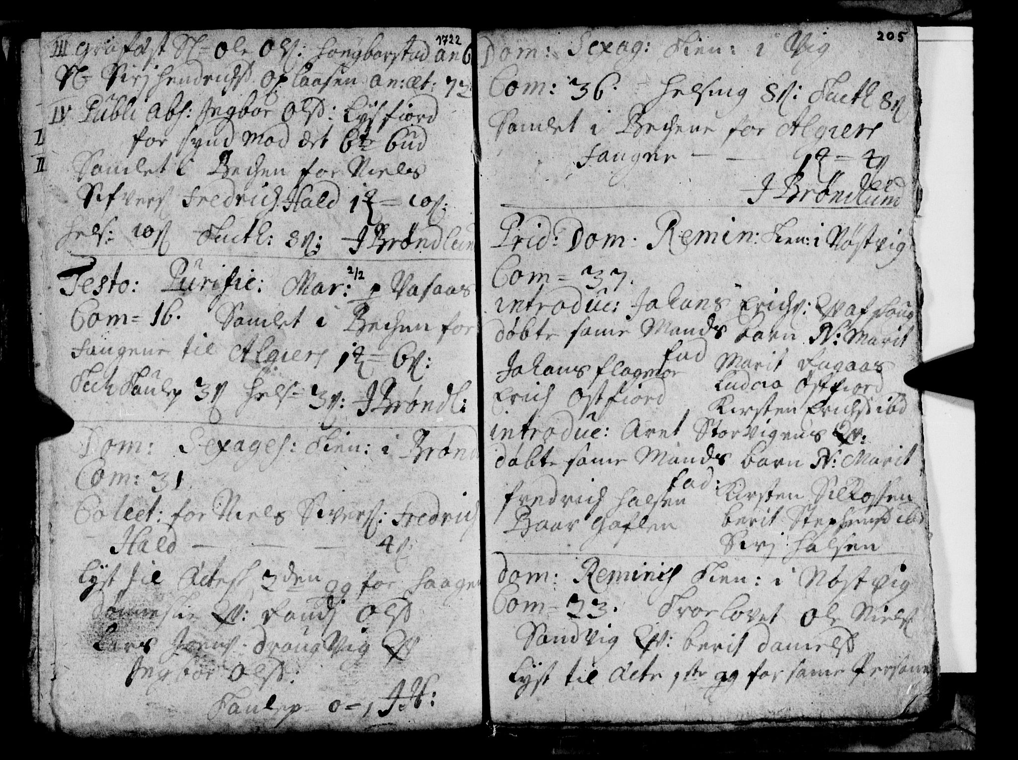 Ministerialprotokoller, klokkerbøker og fødselsregistre - Nordland, AV/SAT-A-1459/813/L0193: Parish register (official) no. 813A03, 1714-1724, p. 205