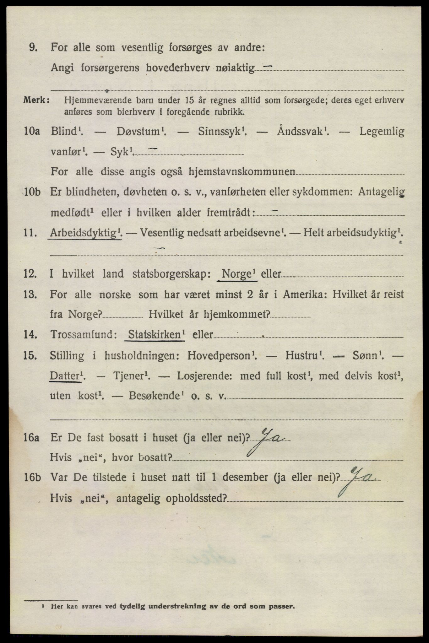 SAKO, 1920 census for Brunlanes, 1920, p. 10804