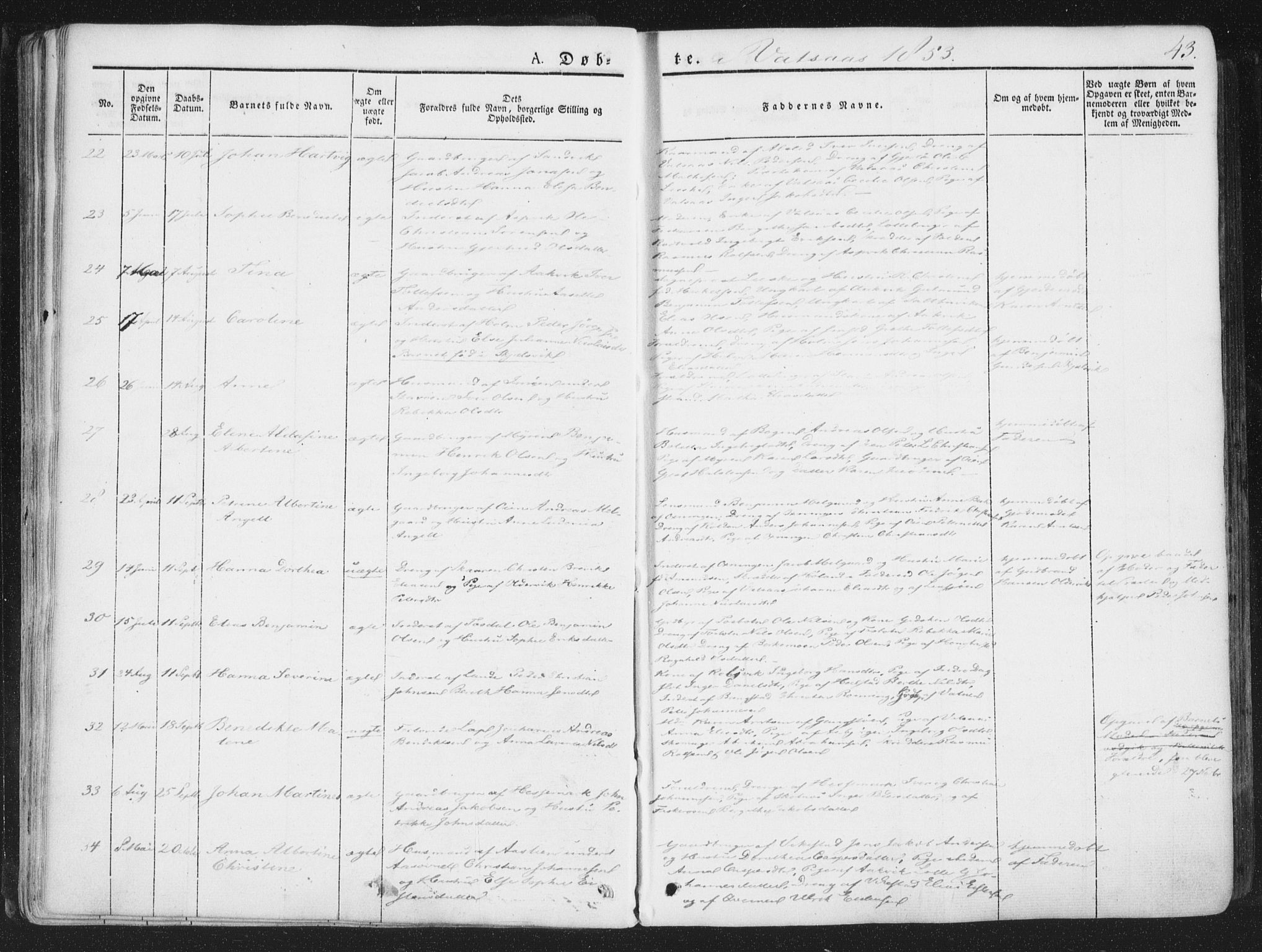 Ministerialprotokoller, klokkerbøker og fødselsregistre - Nordland, AV/SAT-A-1459/810/L0144: Parish register (official) no. 810A07 /1, 1841-1862, p. 43