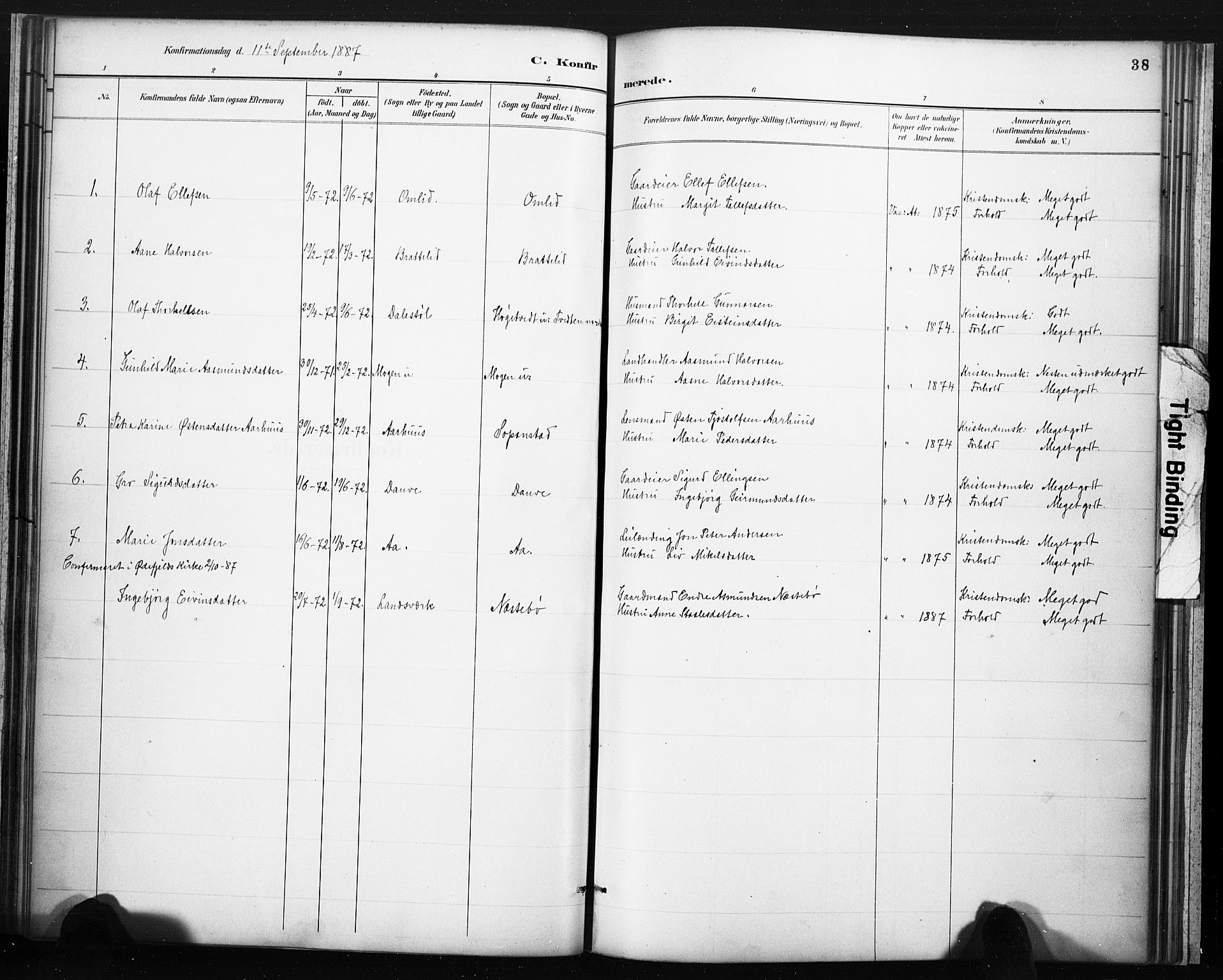 Lårdal kirkebøker, SAKO/A-284/F/Fc/L0002: Parish register (official) no. III 2, 1887-1906, p. 38