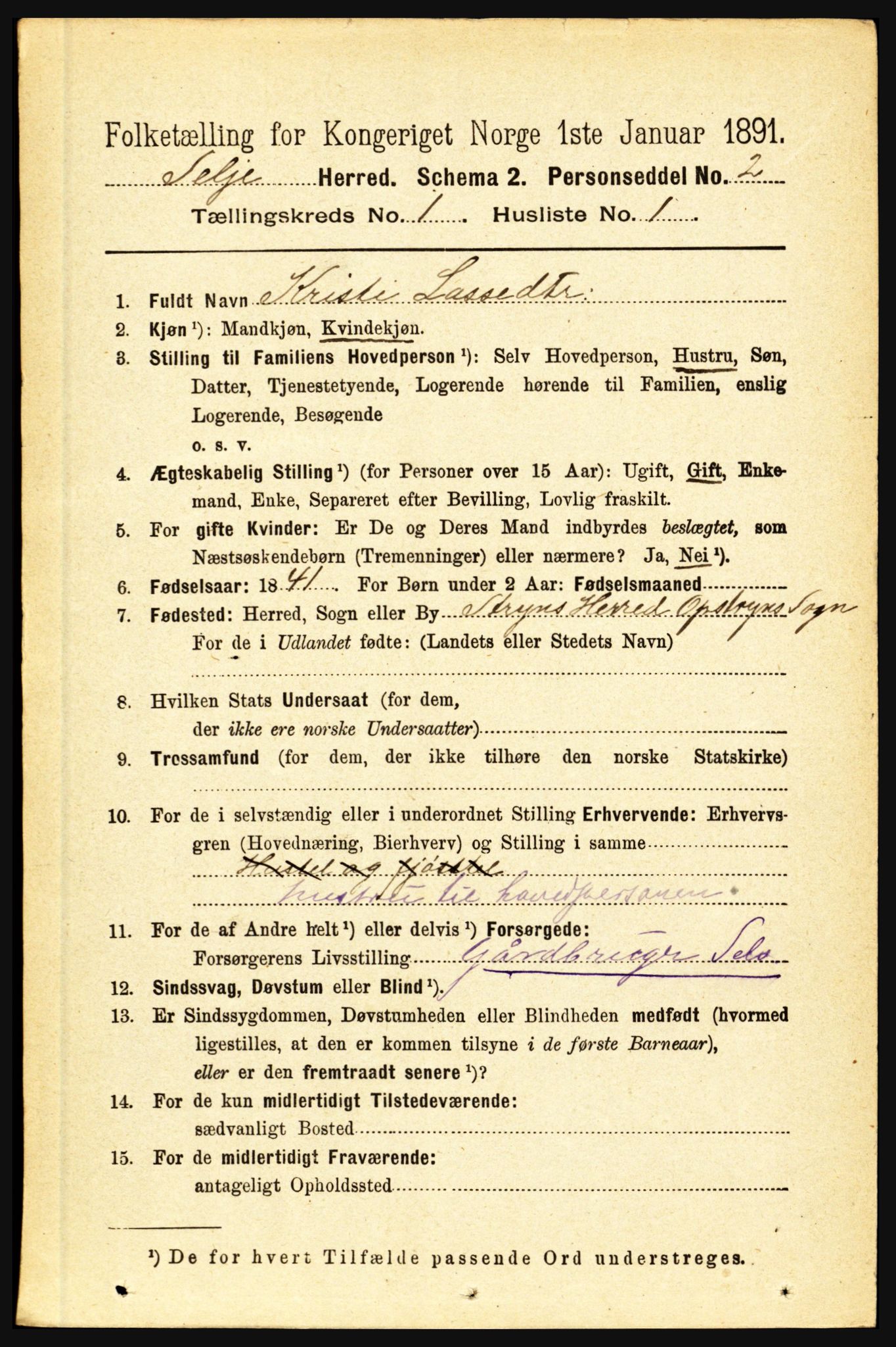 RA, 1891 census for 1441 Selje, 1891, p. 96