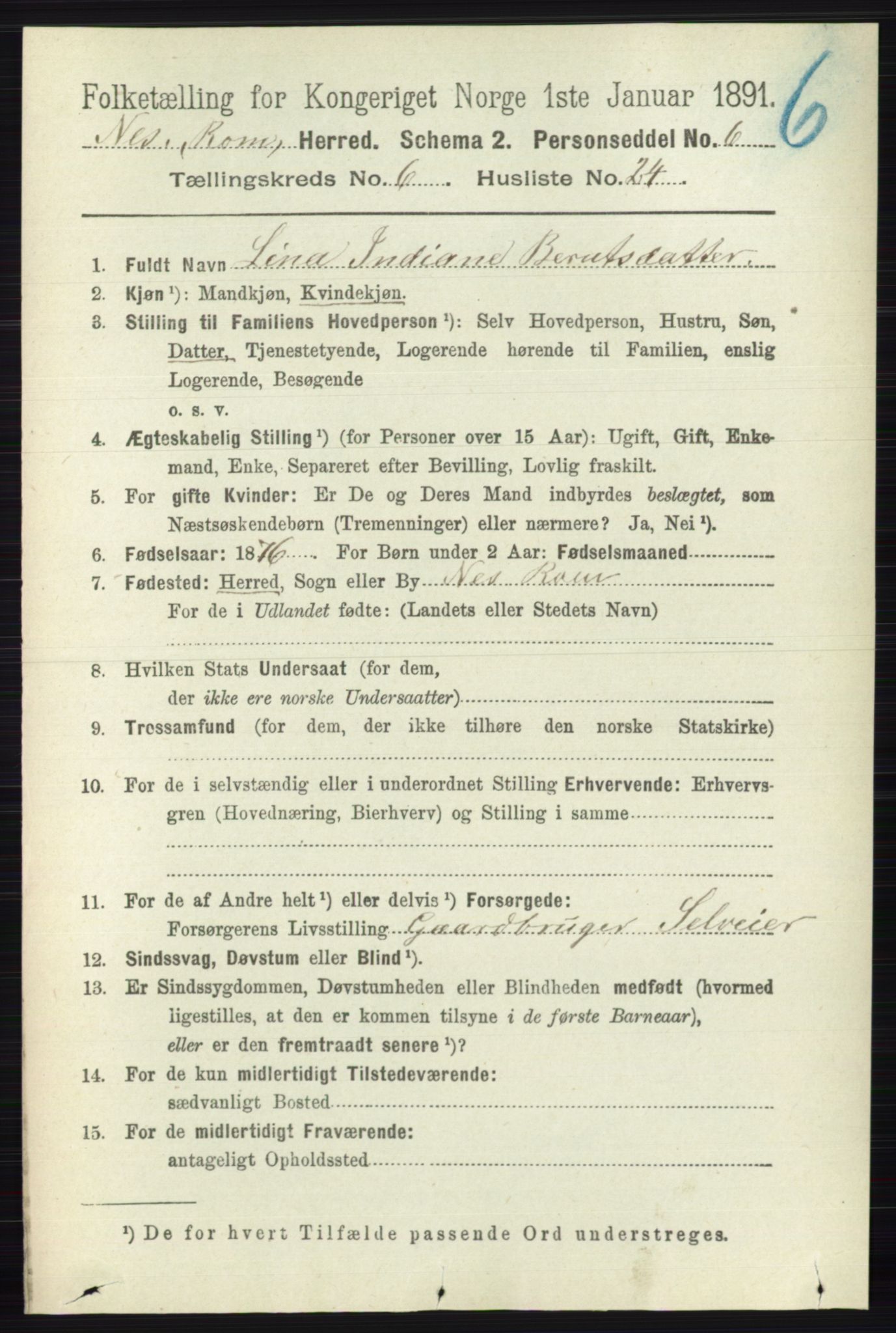 RA, 1891 census for 0236 Nes, 1891, p. 3523