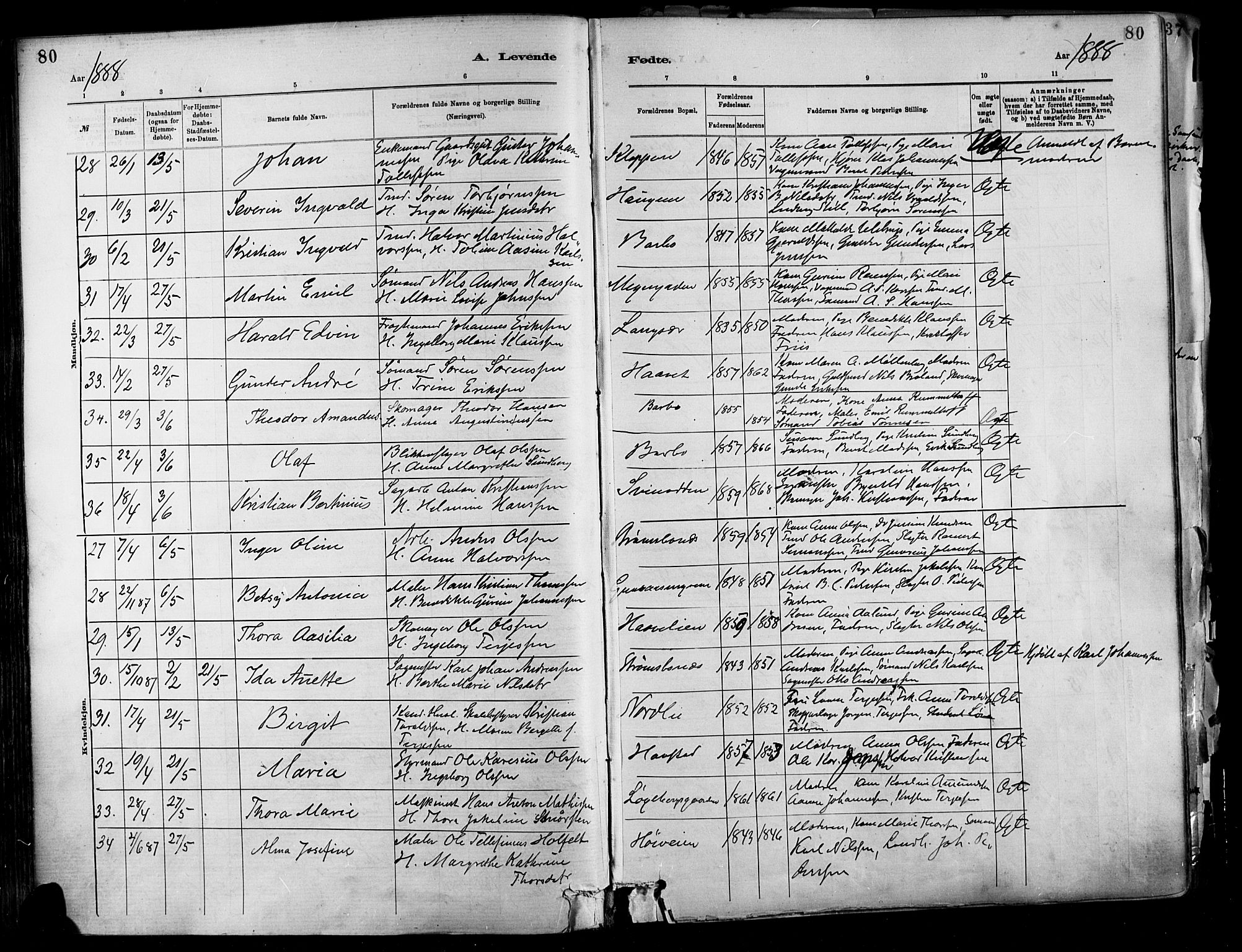 Barbu sokneprestkontor, SAK/1111-0003/F/Fa/L0002: Parish register (official) no. A 2, 1883-1898, p. 80