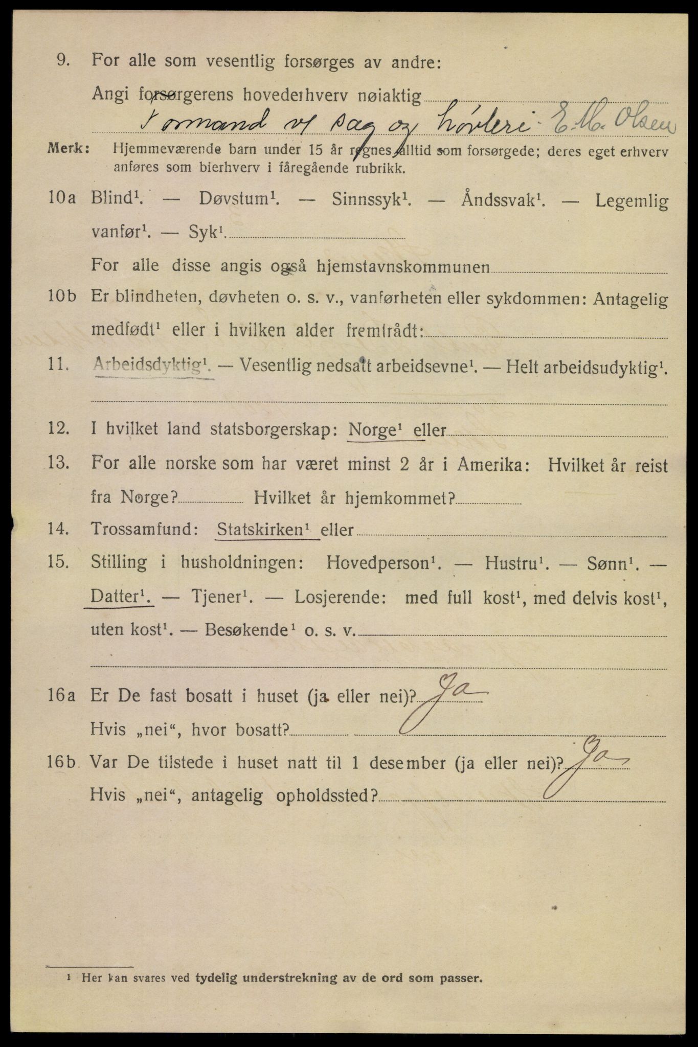 SAKO, 1920 census for Skien, 1920, p. 16851