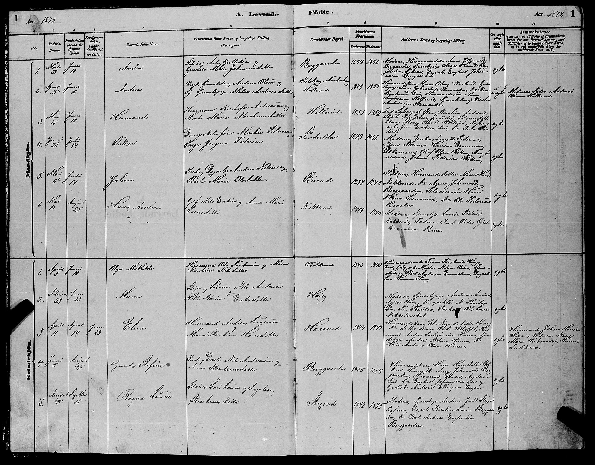 Hole kirkebøker, SAKO/A-228/G/Gb/L0002: Parish register (copy) no. II 2, 1878-1889, p. 1
