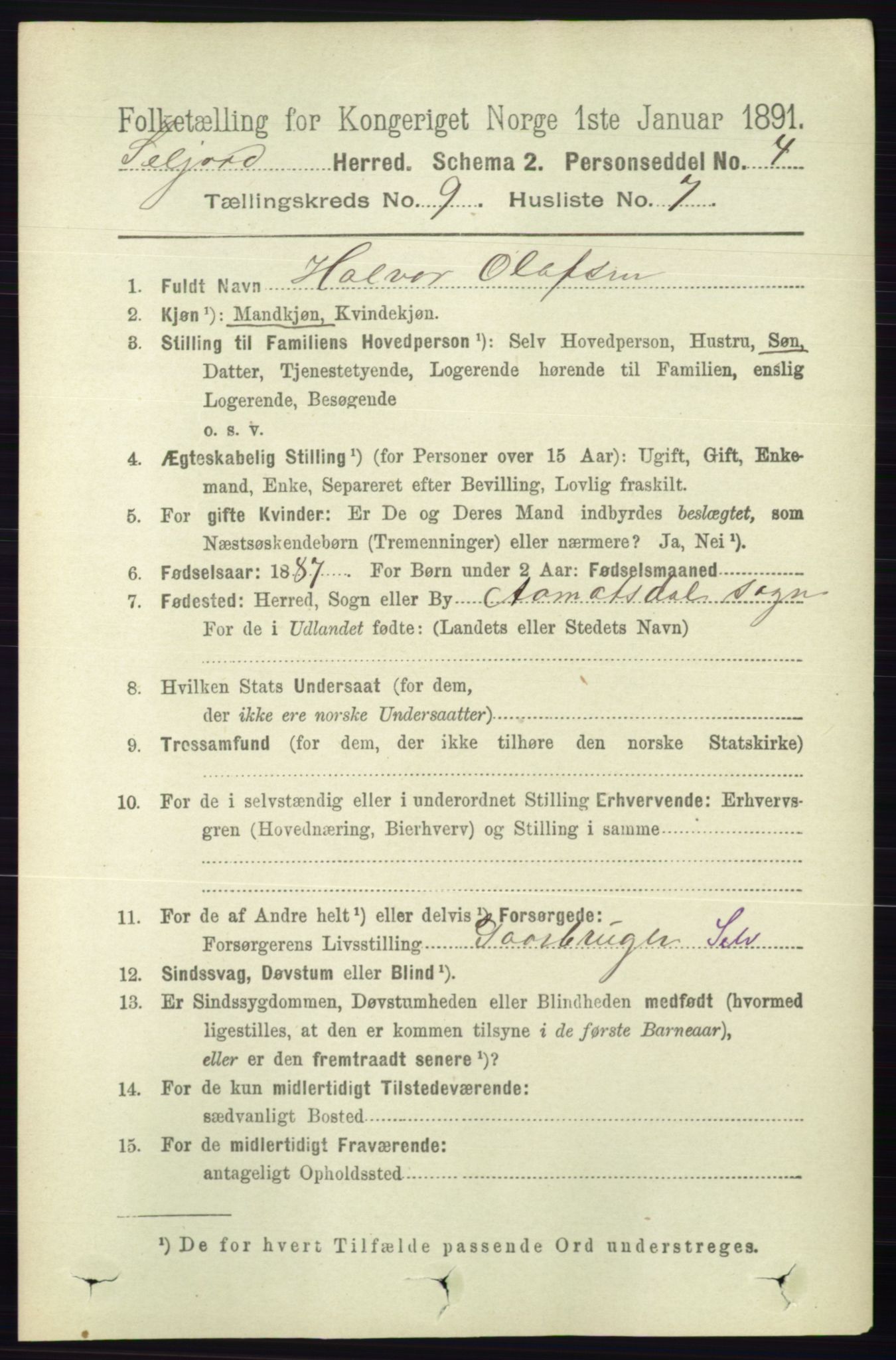 RA, 1891 census for 0828 Seljord, 1891, p. 3213