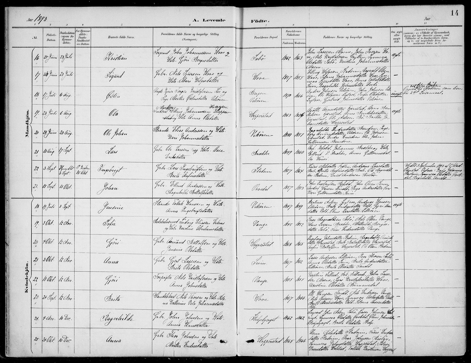 Vik sokneprestembete, AV/SAB-A-81501/H/Haa/Haab/L0002: Parish register (official) no. B  2, 1891-1907, p. 14