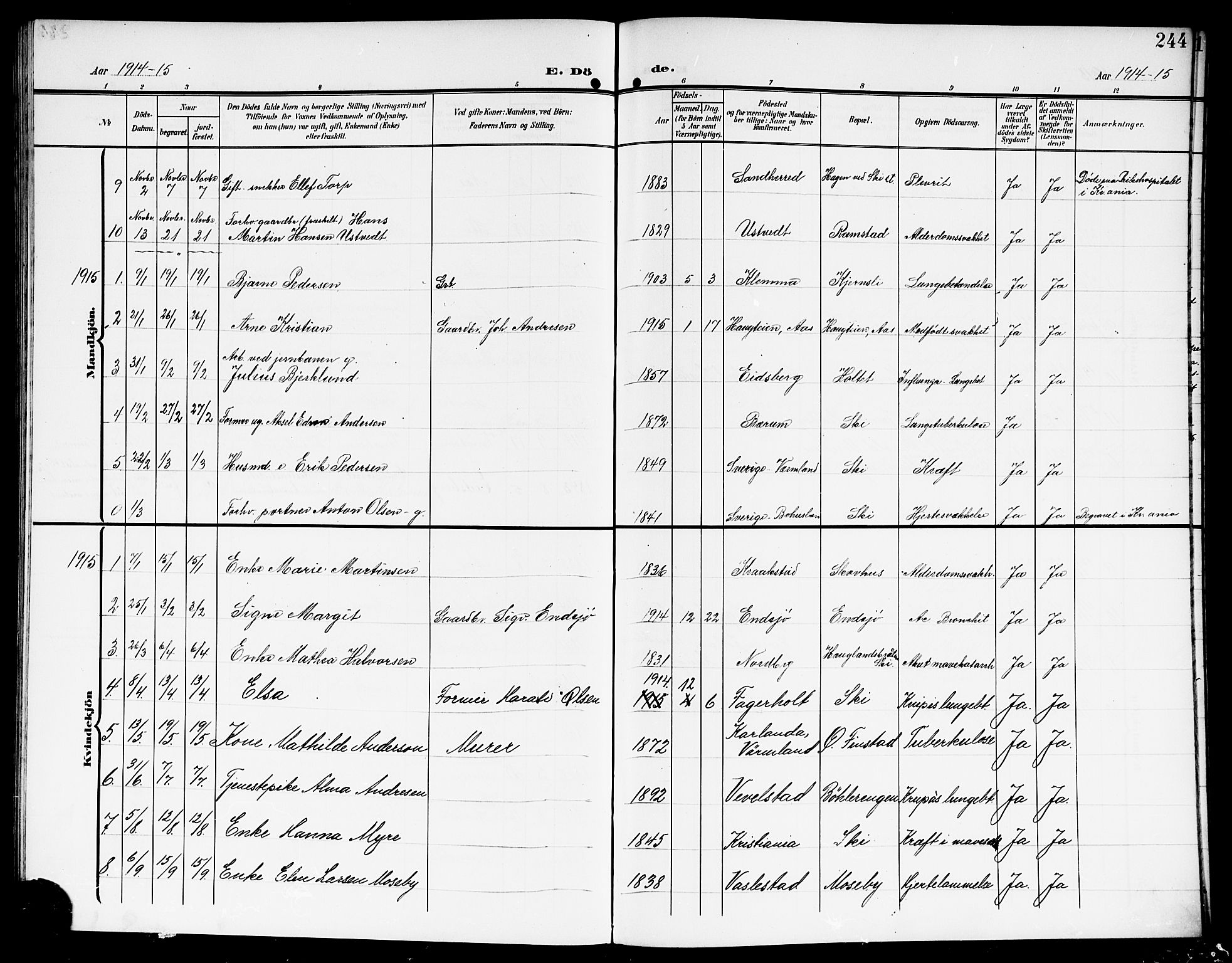 Kråkstad prestekontor Kirkebøker, SAO/A-10125a/G/Gb/L0001: Parish register (copy) no. II 1, 1905-1920, p. 244