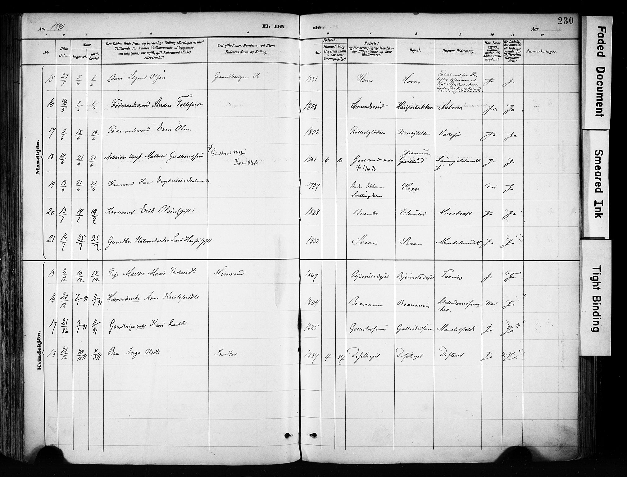 Biri prestekontor, AV/SAH-PREST-096/H/Ha/Haa/L0009: Parish register (official) no. 9, 1887-1900, p. 230