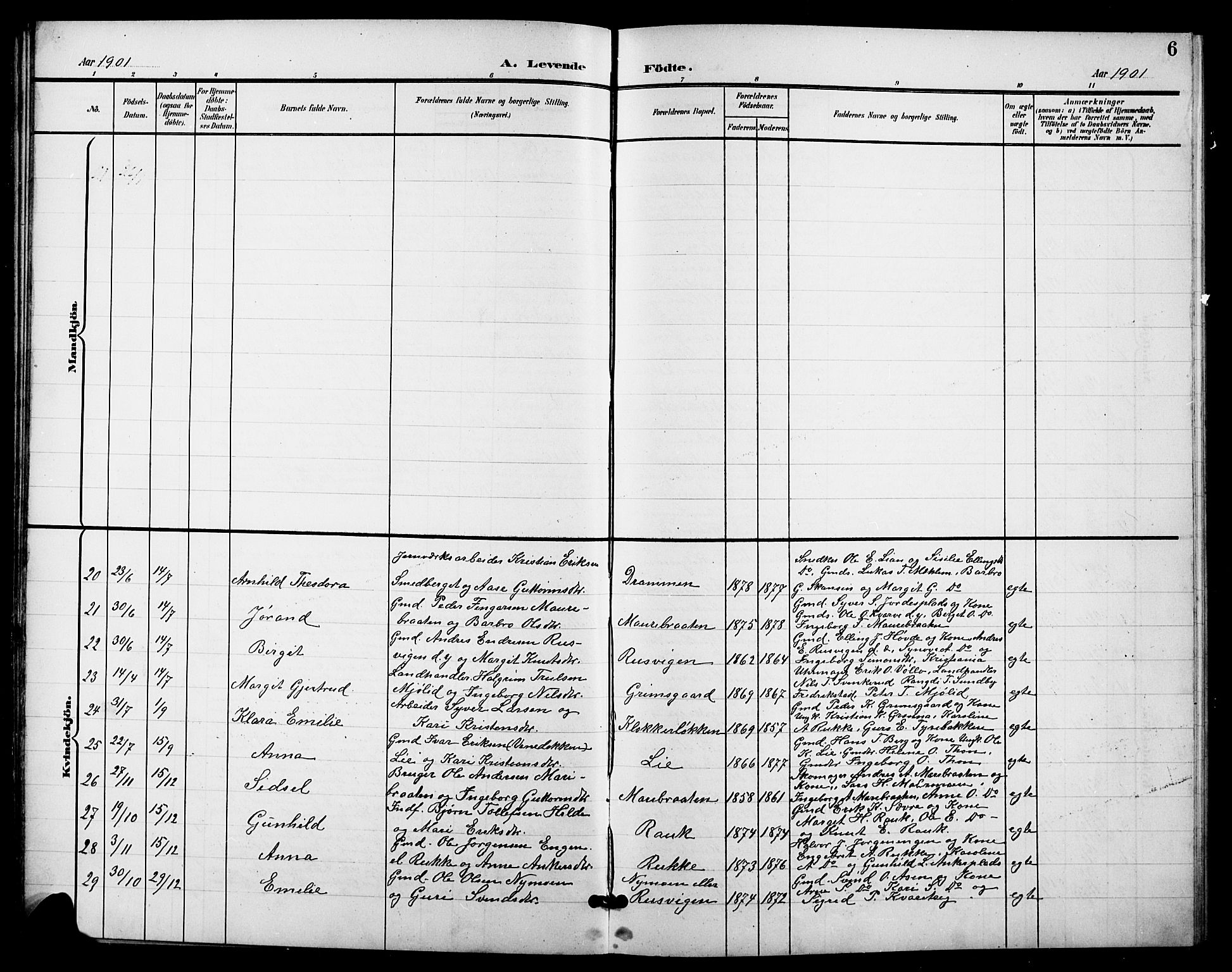 Nes kirkebøker, AV/SAKO-A-236/G/Ga/L0004: Parish register (copy) no. I 4, 1900-1925, p. 6