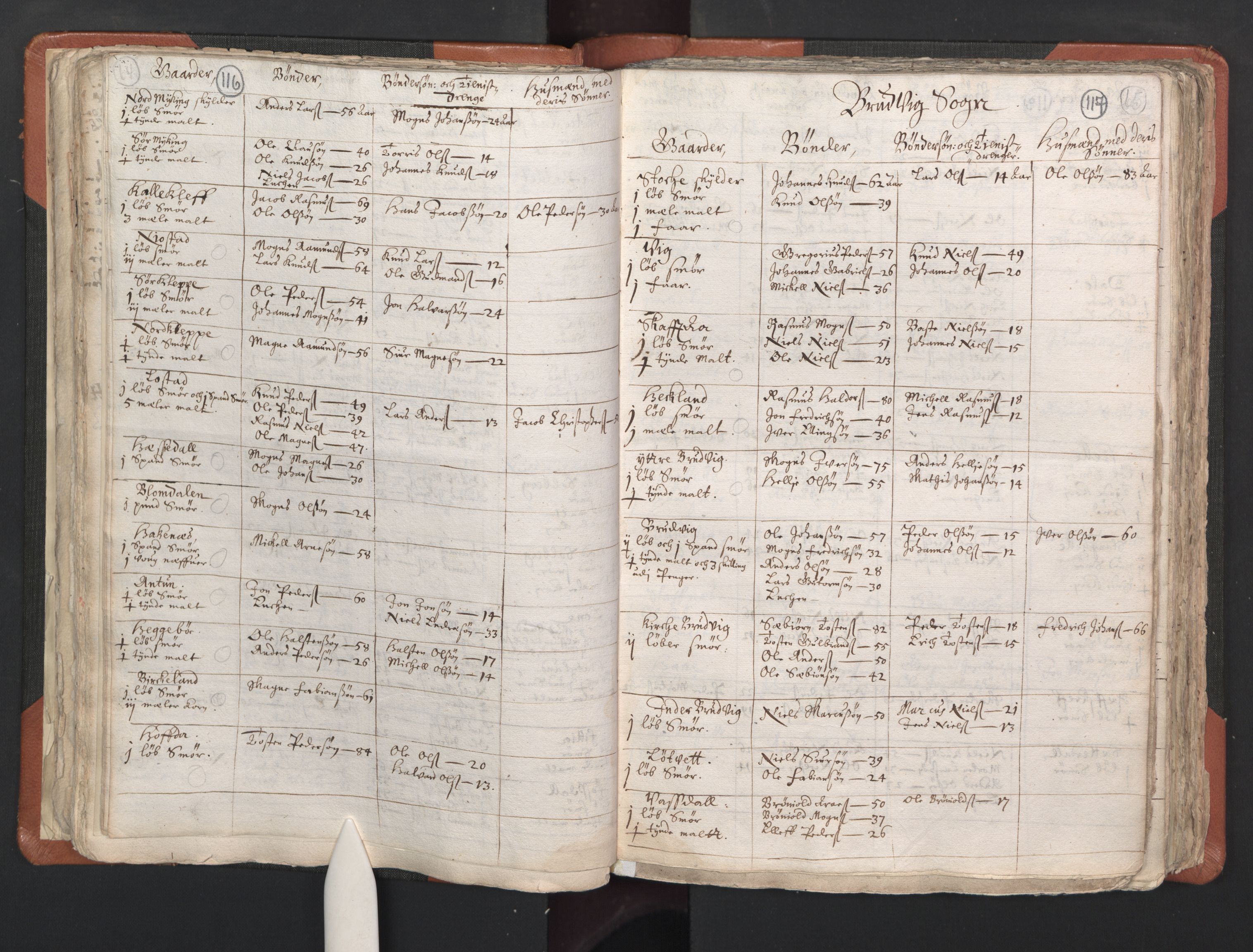 RA, Vicar's Census 1664-1666, no. 22: Nordhordland deanery, 1664-1666, p. 116-117