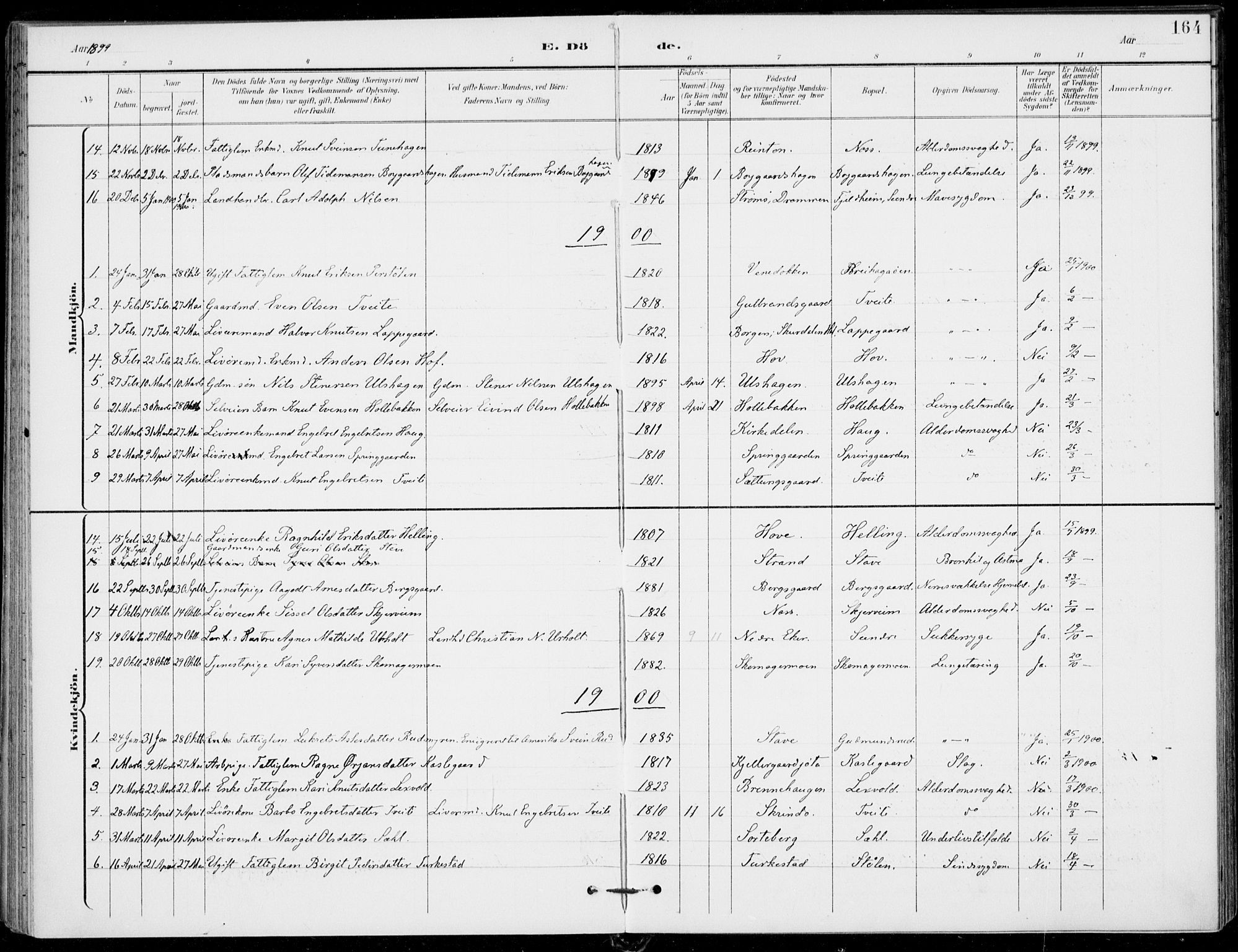 Ål kirkebøker, SAKO/A-249/F/Fa/L0009: Parish register (official) no. I 9, 1897-1915, p. 164