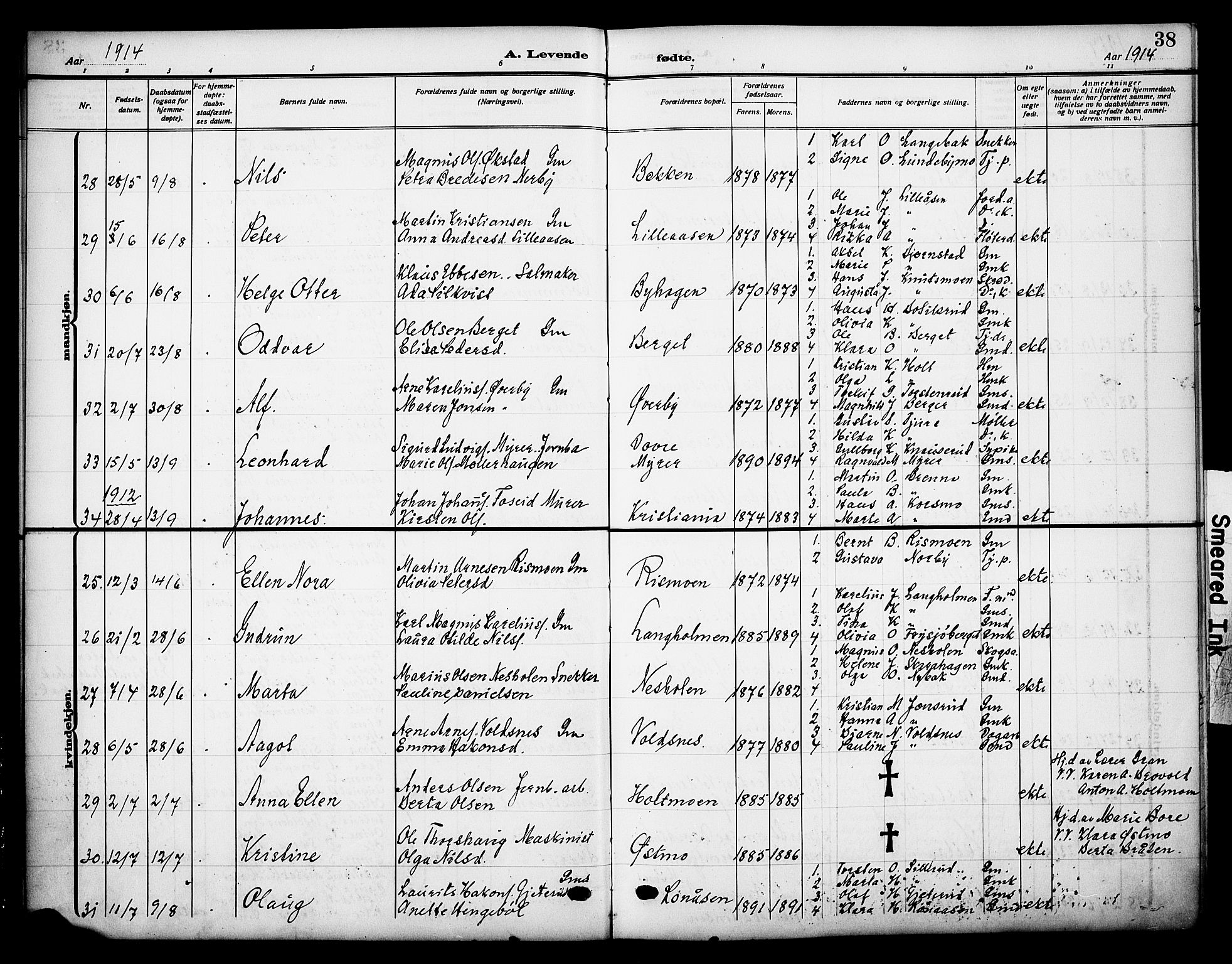 Grue prestekontor, AV/SAH-PREST-036/H/Ha/Haa/L0015: Parish register (official) no. 15, 1911-1922, p. 38