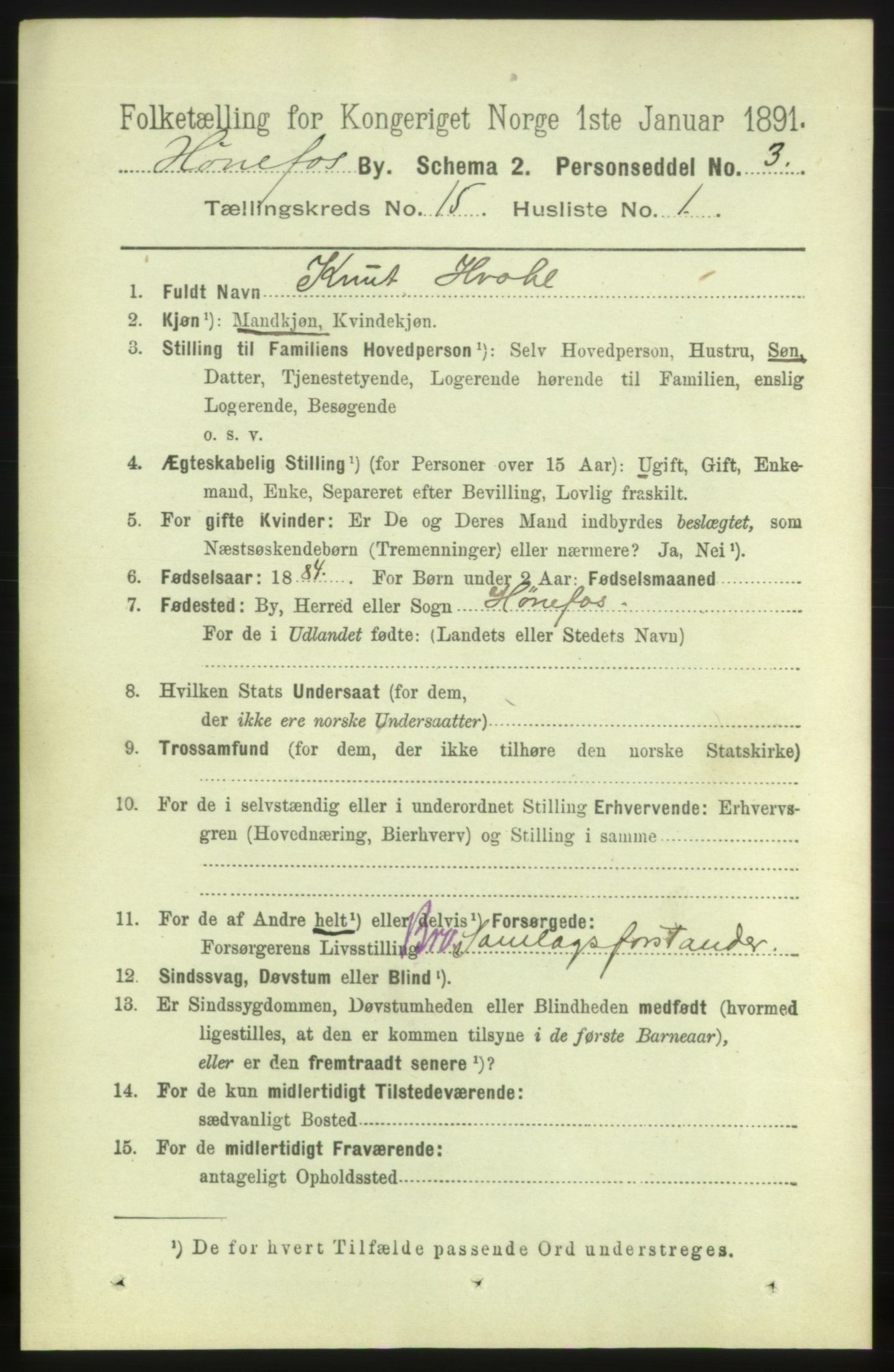 RA, 1891 census for 0601 Hønefoss, 1891, p. 1717