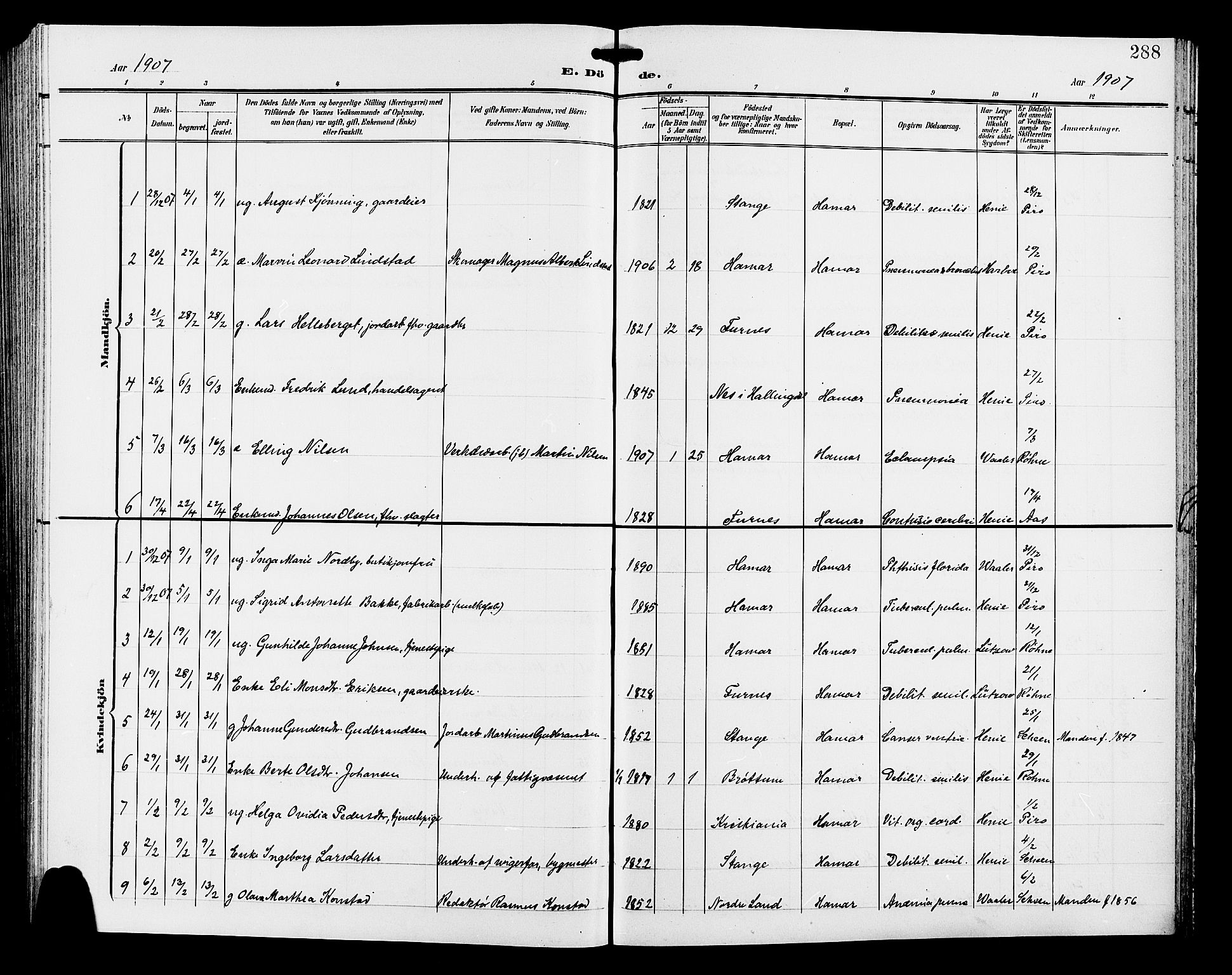 Hamar prestekontor, SAH/DOMPH-002/H/Ha/Hab/L0001: Parish register (copy) no. 1, 1899-1914, p. 288