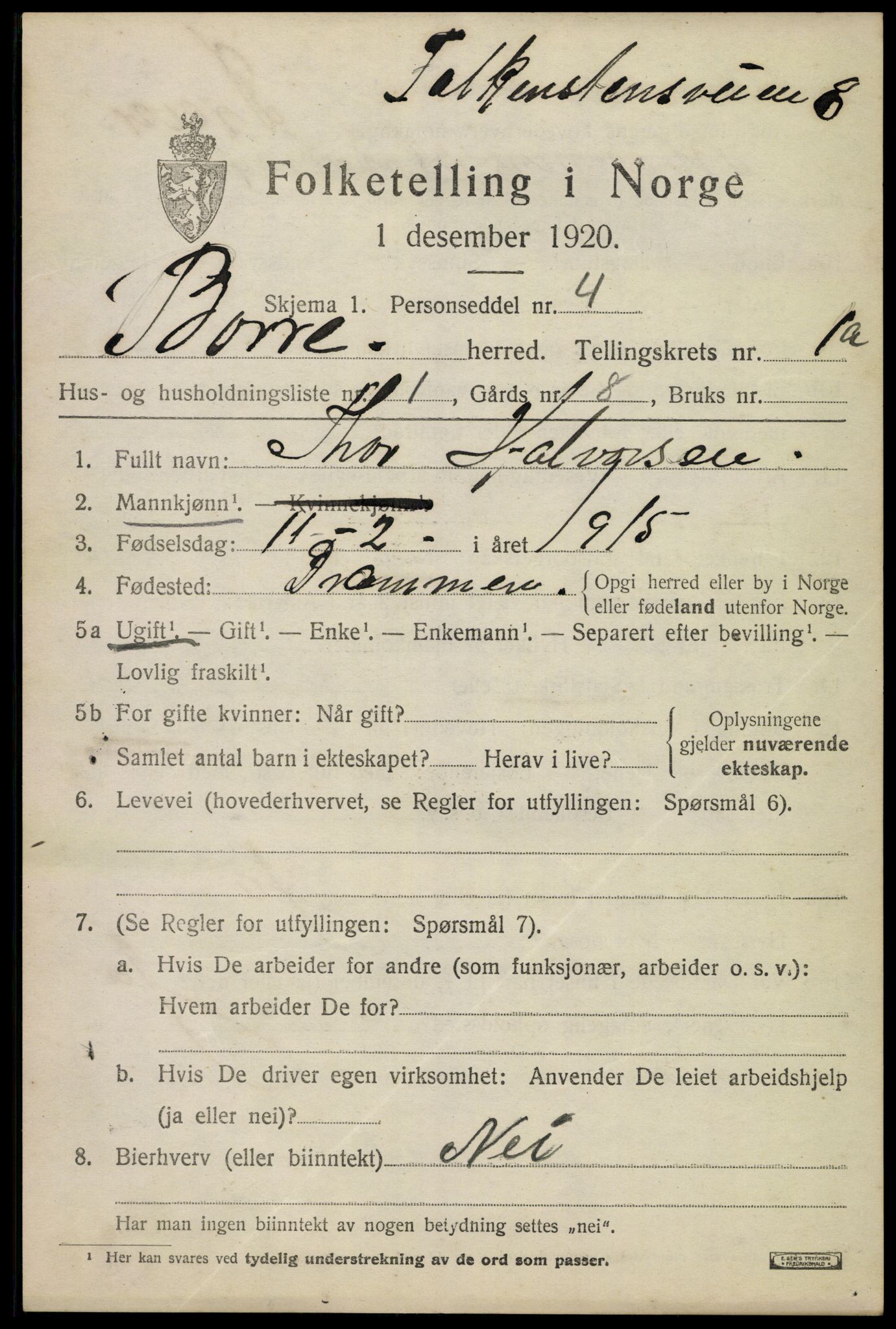 SAKO, 1920 census for Borre, 1920, p. 1384