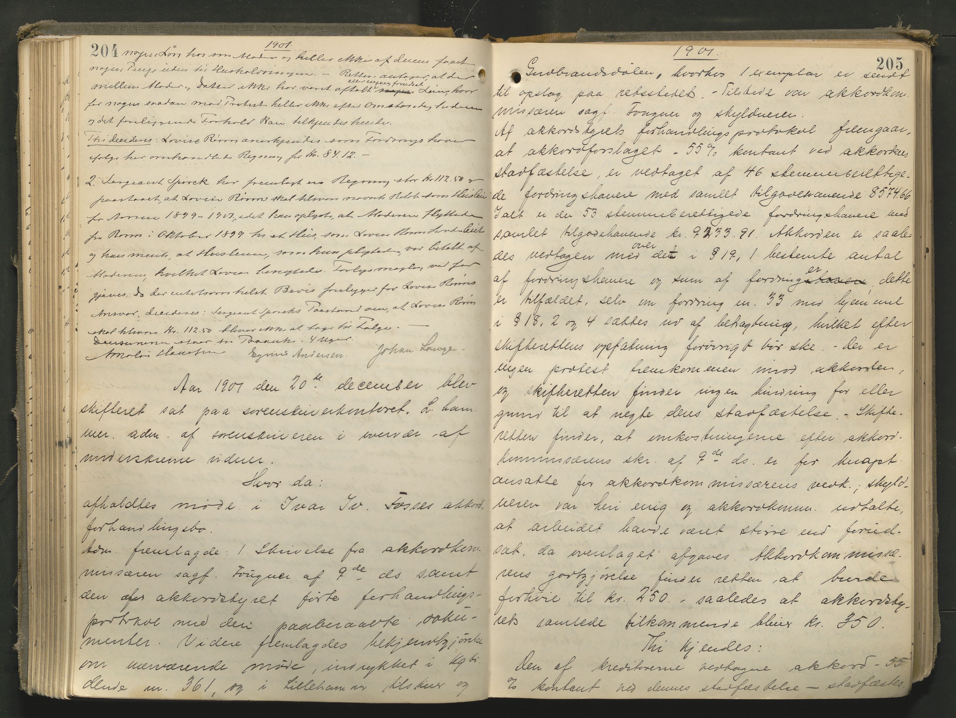 Sør-Gudbrandsdal tingrett, AV/SAH-TING-004/J/Ja/Jad/L0002: Skifteforhandlingsprotokoll - Fron, Ringebu og Øyer, 1895-1916, p. 204-205