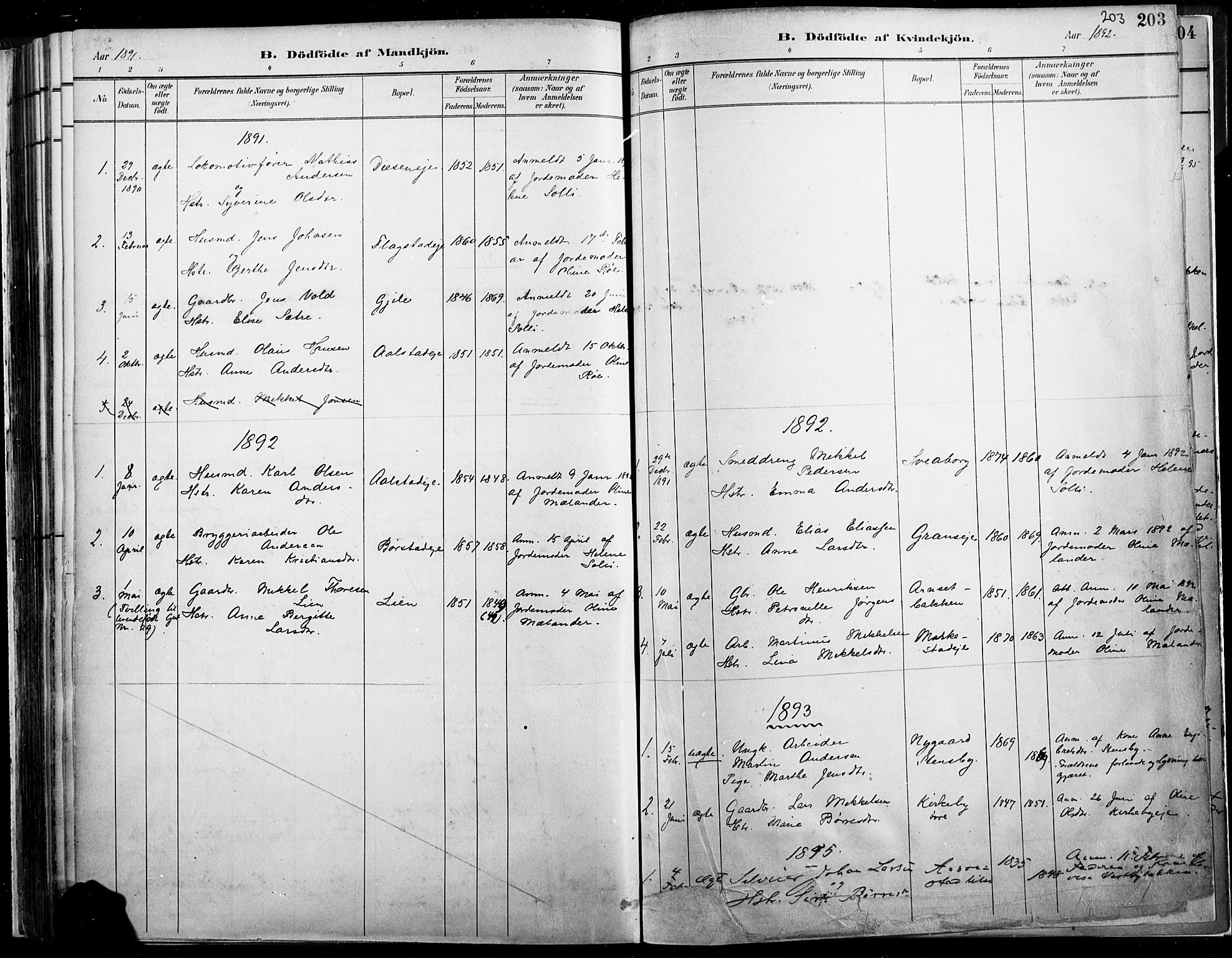 Vang prestekontor, Hedmark, SAH/PREST-008/H/Ha/Haa/L0019A: Parish register (official) no. 19, 1886-1900, p. 203