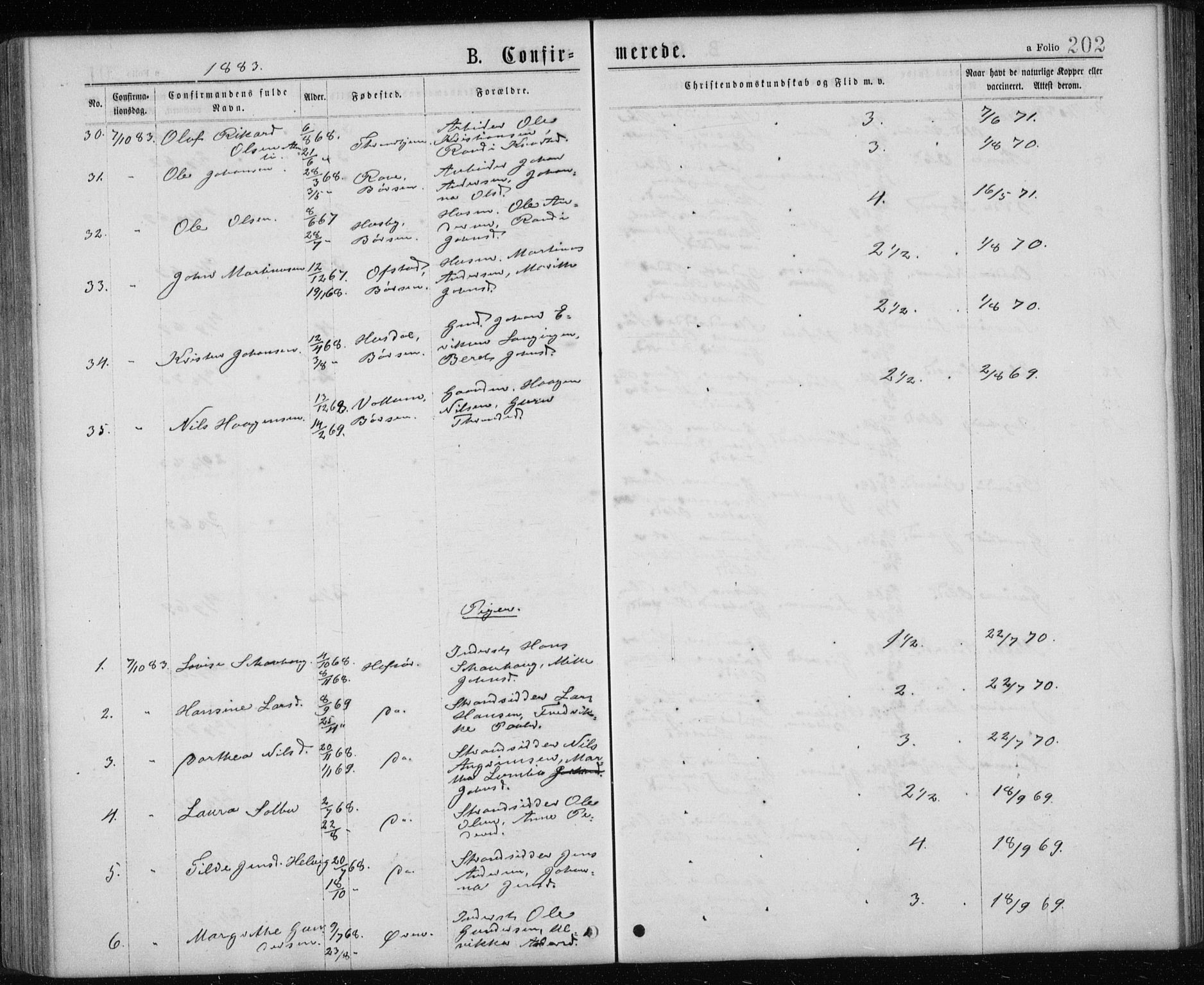 Ministerialprotokoller, klokkerbøker og fødselsregistre - Sør-Trøndelag, AV/SAT-A-1456/668/L0817: Parish register (copy) no. 668C06, 1873-1884, p. 202