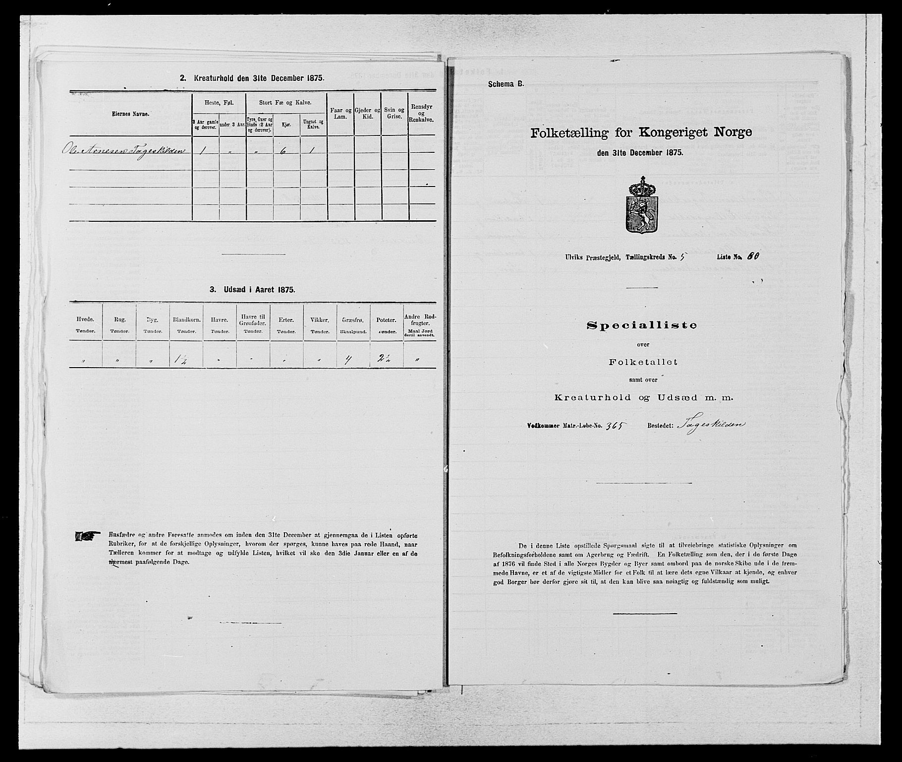 SAB, 1875 census for 1233P Ulvik, 1875, p. 917