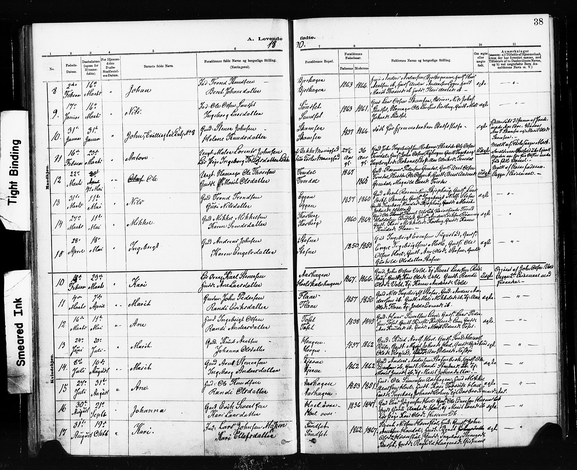 Ministerialprotokoller, klokkerbøker og fødselsregistre - Sør-Trøndelag, SAT/A-1456/674/L0871: Parish register (official) no. 674A03, 1880-1896, p. 38