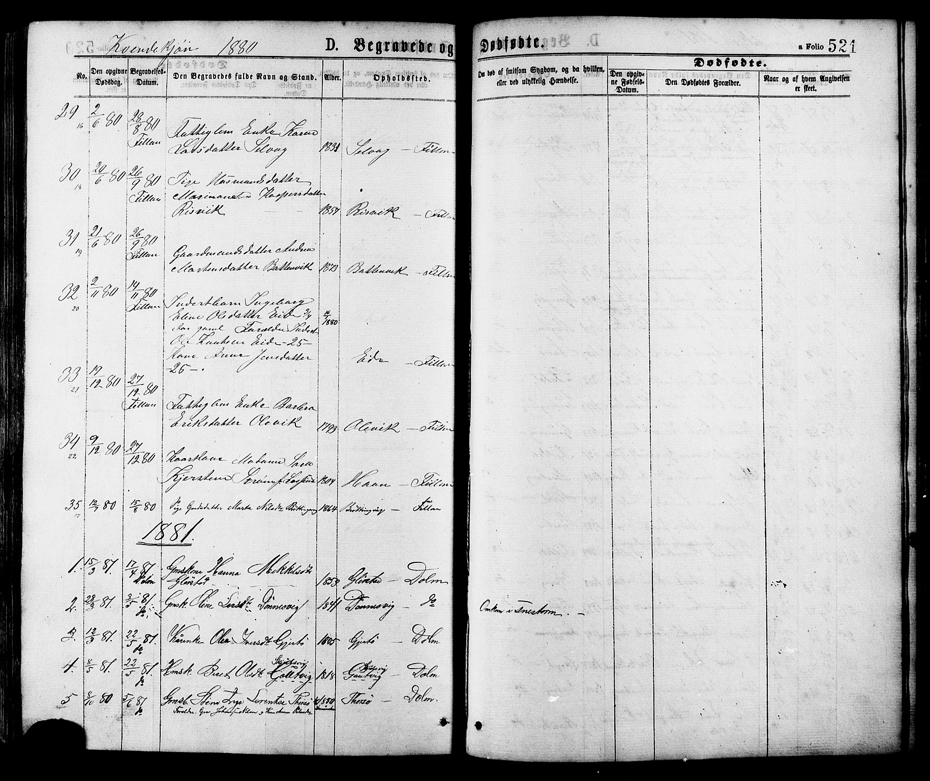Ministerialprotokoller, klokkerbøker og fødselsregistre - Sør-Trøndelag, SAT/A-1456/634/L0532: Parish register (official) no. 634A08, 1871-1881, p. 521