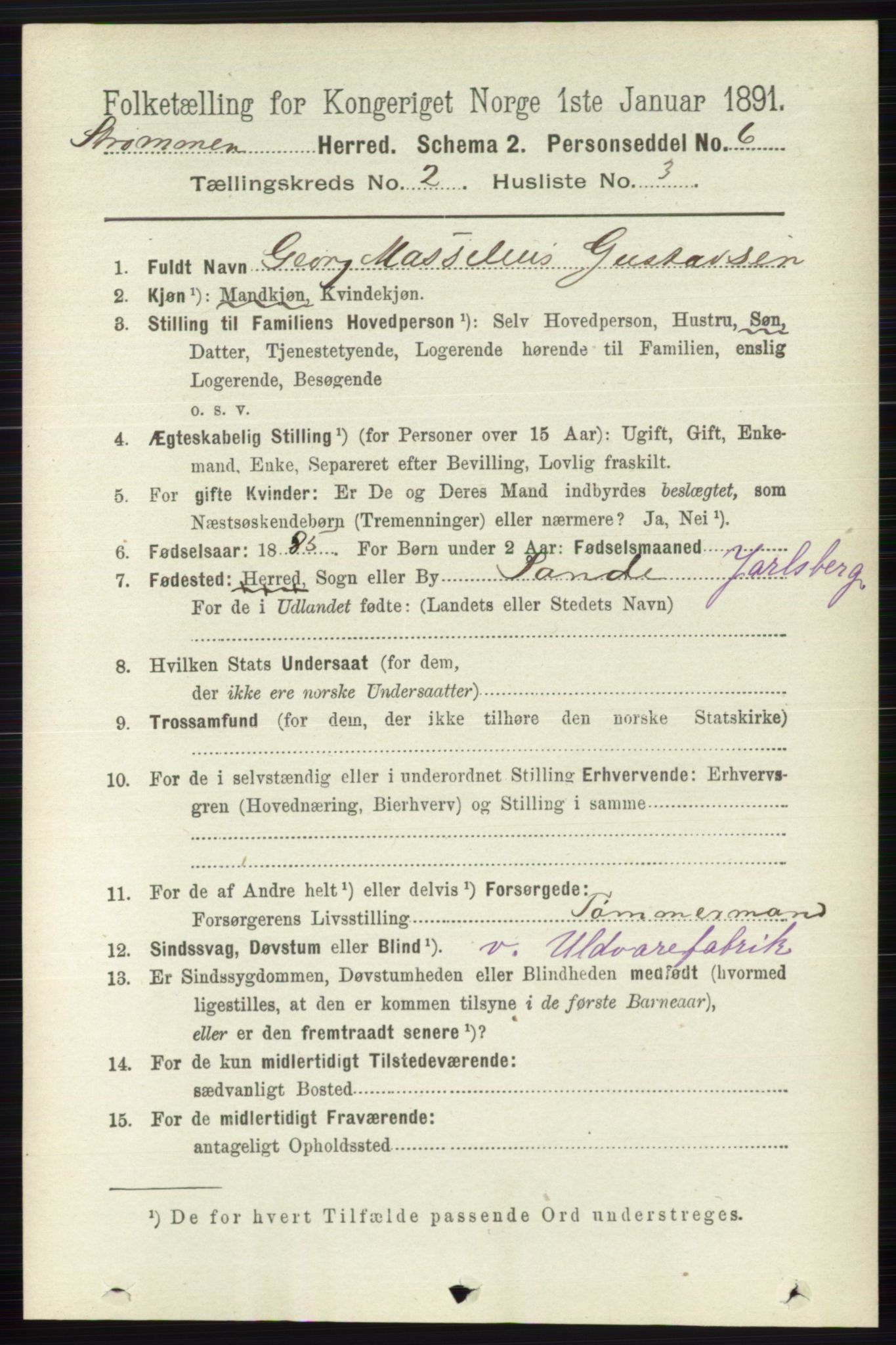 RA, 1891 census for 0711 Strømm, 1891, p. 711