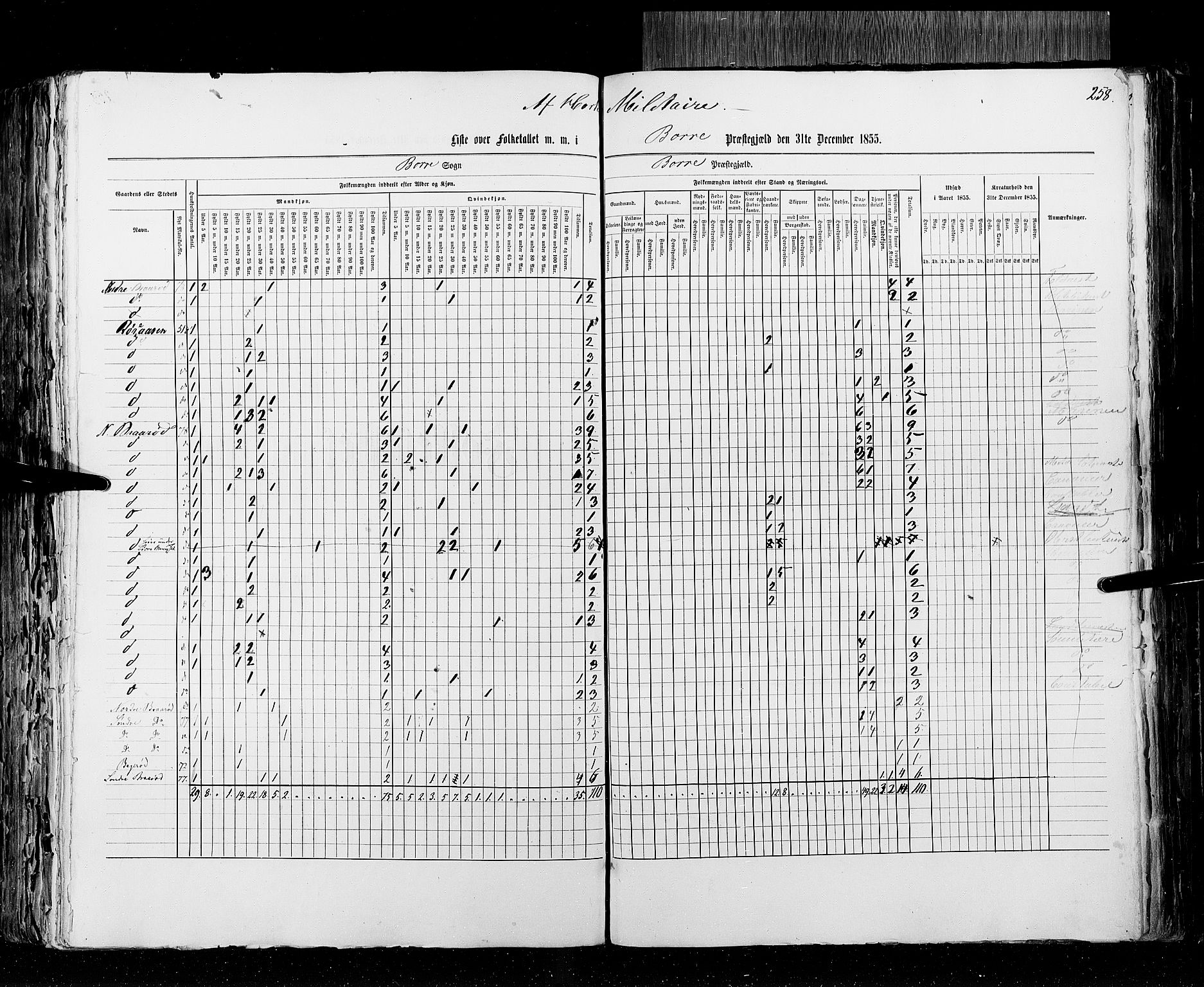 RA, Census 1855, vol. 2: Kristians amt, Buskerud amt og Jarlsberg og Larvik amt, 1855, p. 258